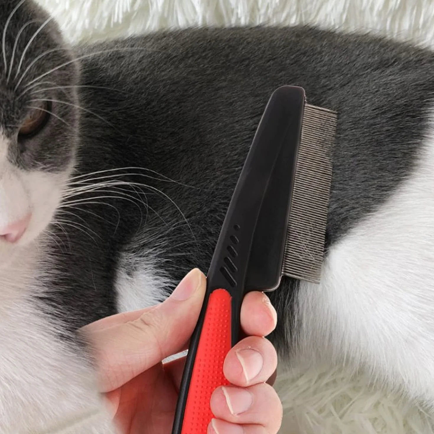 Peigne à Puces pour Chien Chat Poil Long