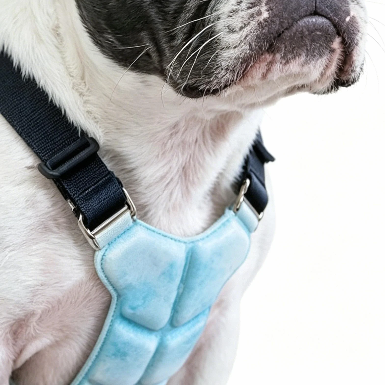 Gilet Rafraîchissant Pour Chien Veste Légère Anti-chaleur Canine Anti-surchauffe Été