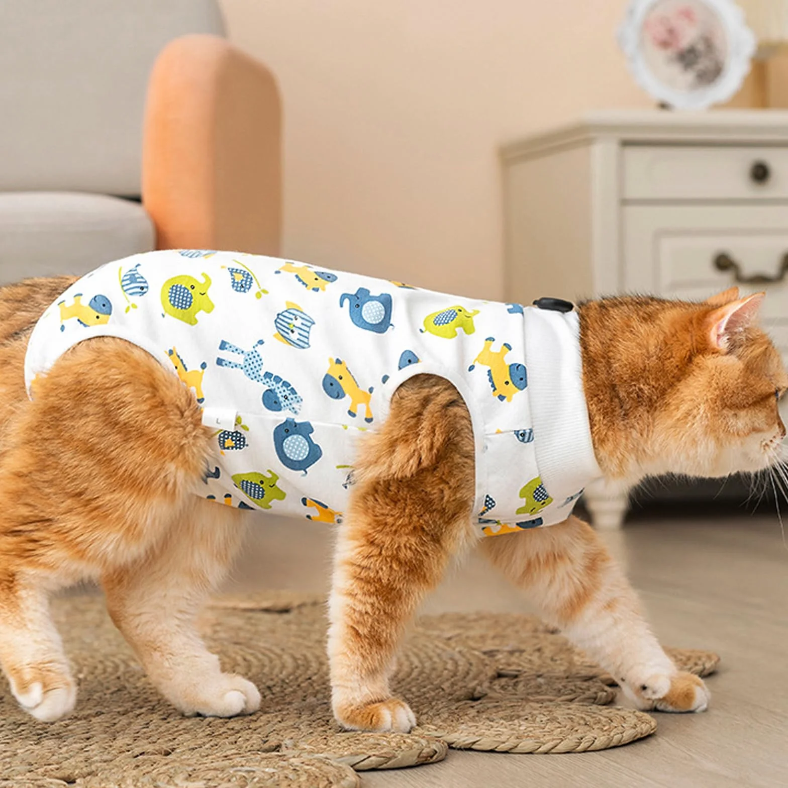 Lot de 2 combinaisons de convalescence pour chat après chirurgie, body de protection post-chirurgie, taille M