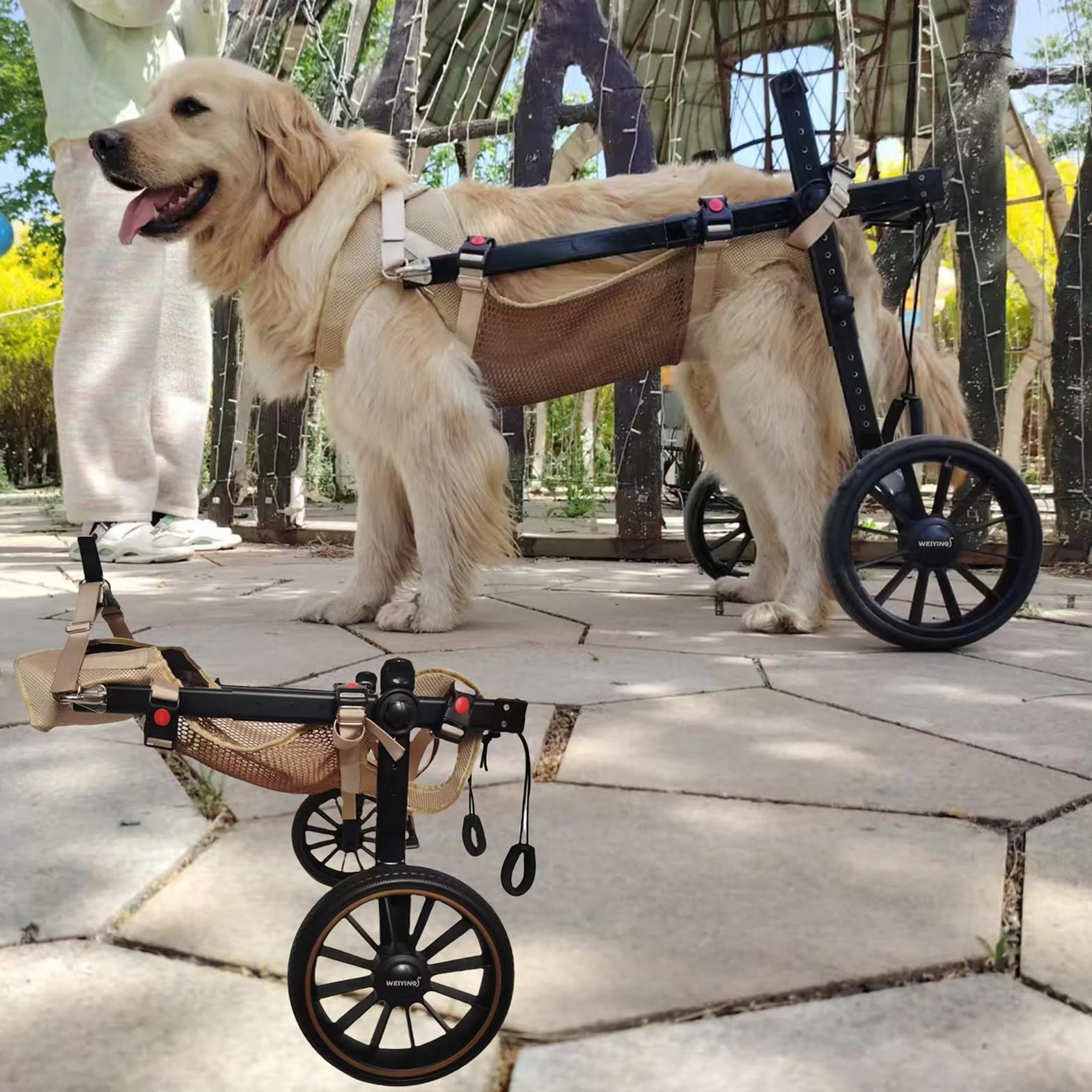 Fauteuil Roulant Pour Chien Pattes Arrière 2 Roues Attelle Exercice Marcheur Handicapé Aide Marche Blessés Paralysés Chariot Animaux Petite Moyenne Grande Taille XL Bleu