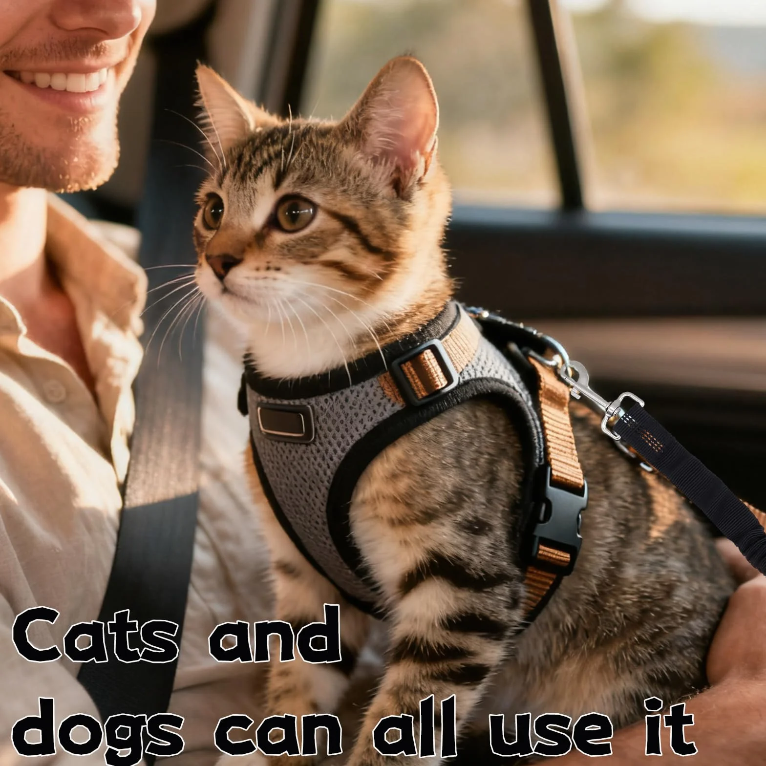 Sangle de Sécurité pour Chien avec Amortisseur Élastique, Mousqueton Solide et Longueur Réglable, Compatible avec Toutes Les Voitures pour Chien et Chat, pour Un Voyage Sûr