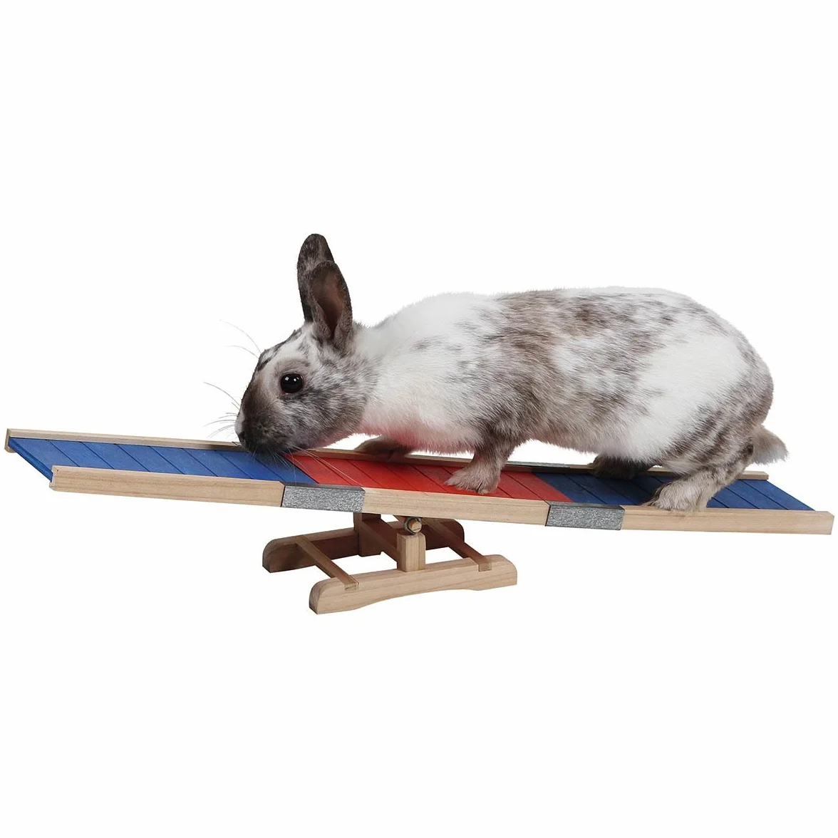 Kerbl Pet Bascule pour Rongeur Agility 60X18X12cm