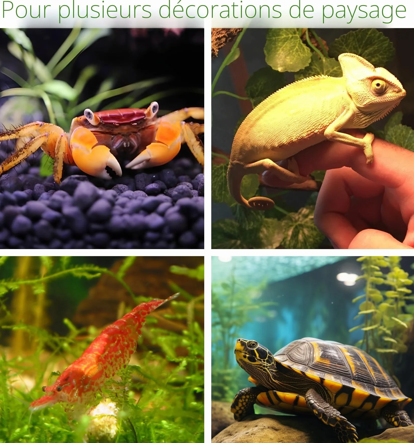 Roches pour Aquarium Poisson Céramique Pierres Décoratives