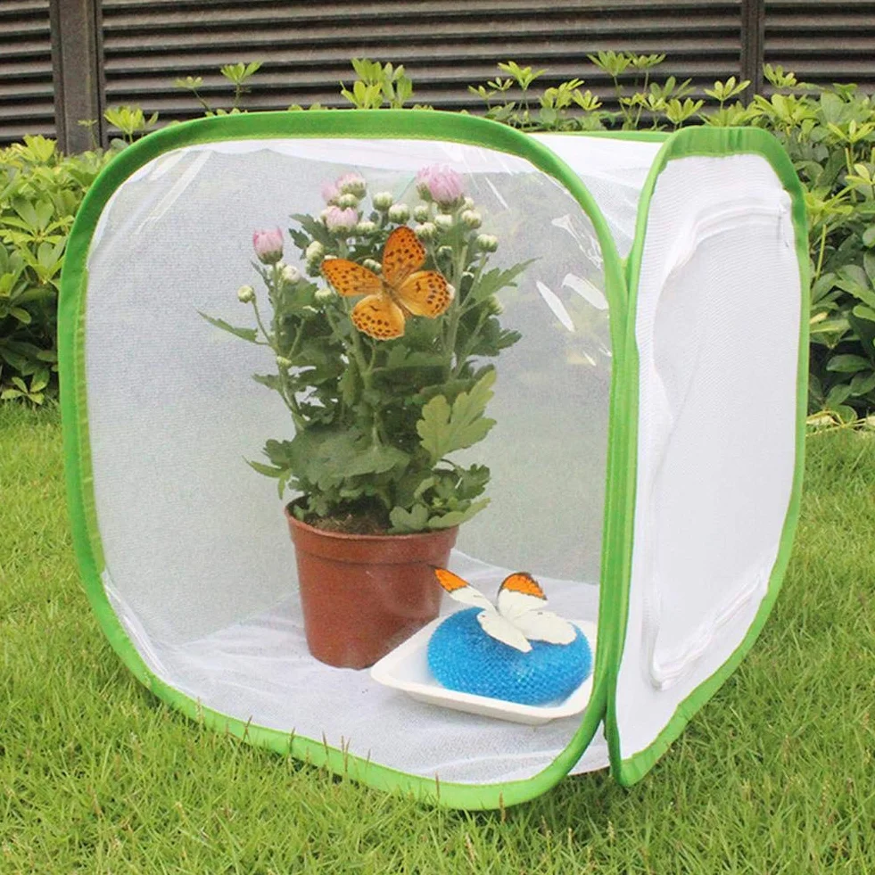 Grande Cage d'élevage pour Insectes et Papillons - Habitat Portable en Fil de Polyester 30x30x30 cm