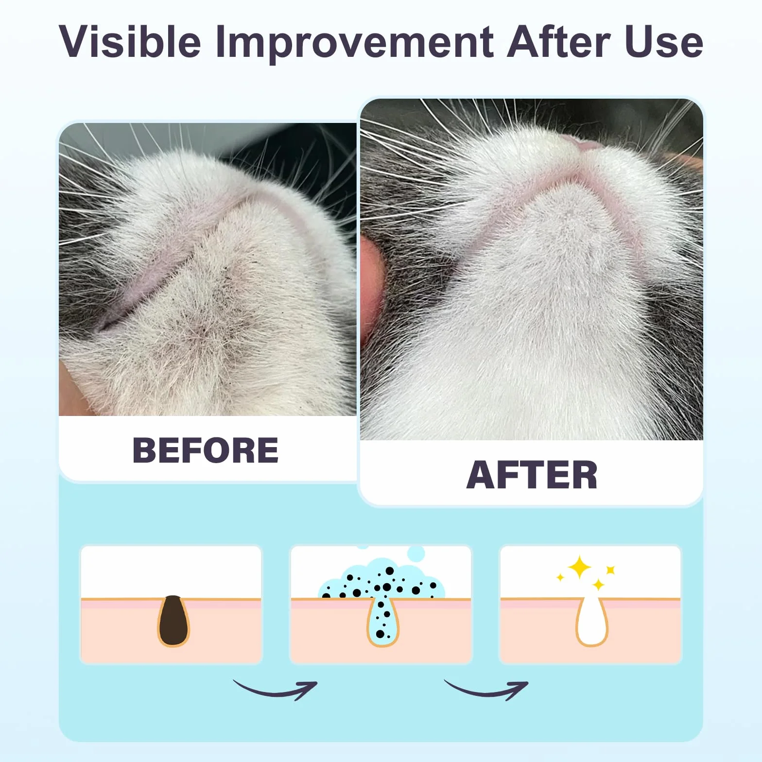 Nettoyant de Menton pour Chat Anti-acné 65 ML avec Brosse et Lingettes