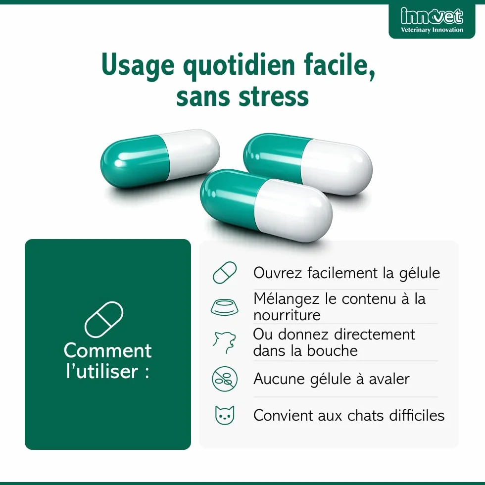 Innovet Condrostress Cat Complément Alimentaire Articulaire pour Chats Adultes et Âgés, Confort Articulaire, Mobilité, Collagène, Chondroïtine, Acide Hyaluronique - 30 gélules