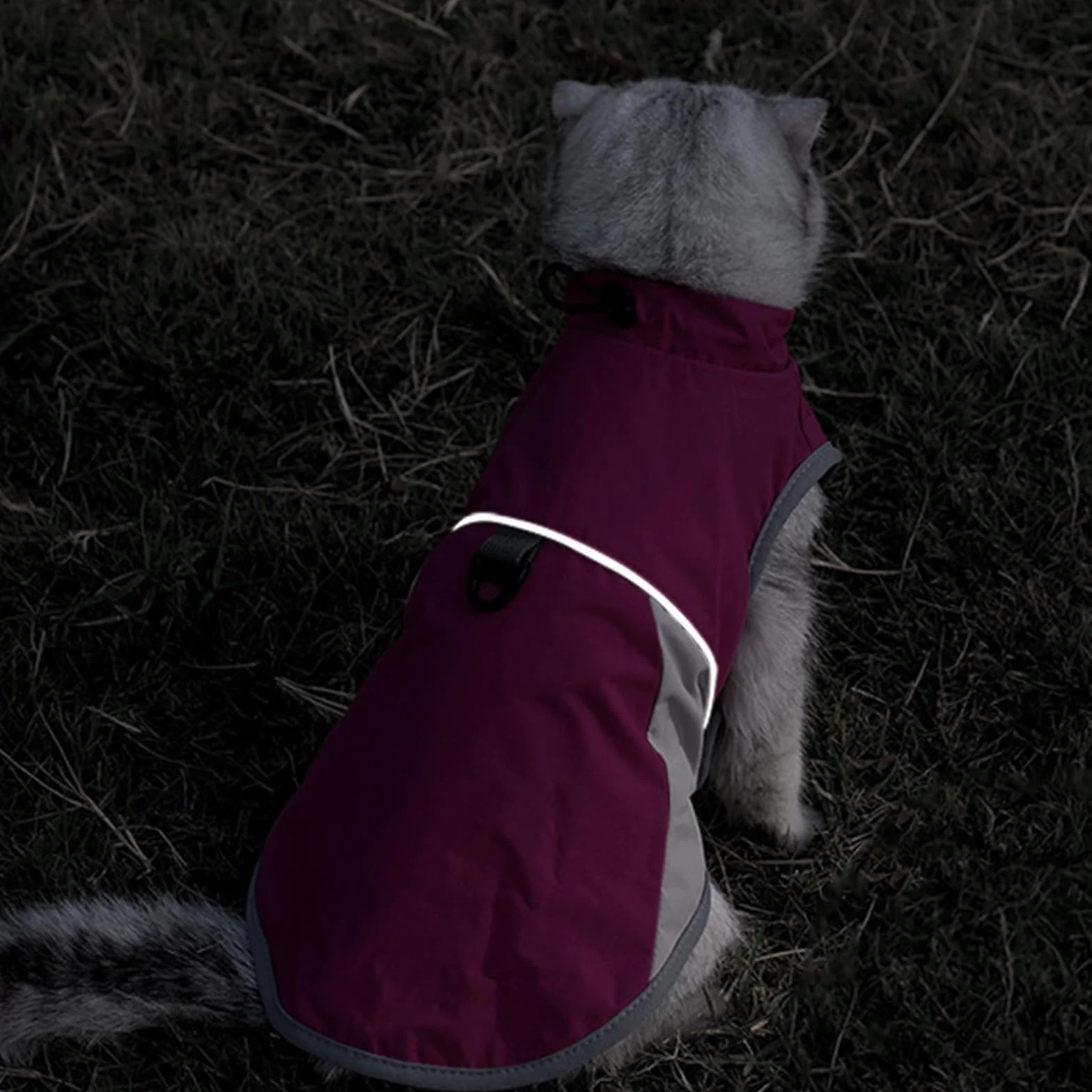 Manteau d'hiver pour Chat Coupe-Vent Chaud Pull-Over Gris S
