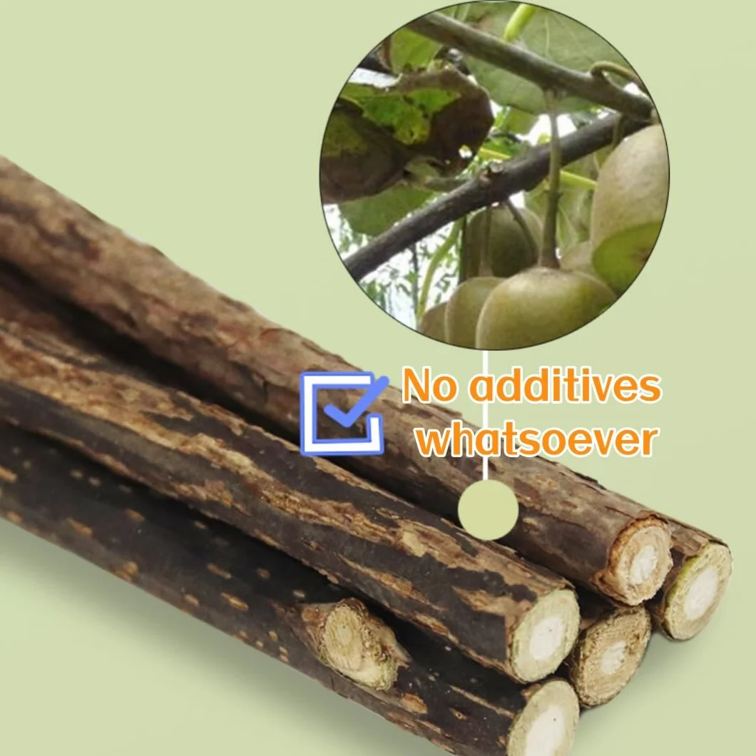 Matatabi Bâtonnets d'Herbe à Chat Naturels 40pcs Bois Grincement de Dents