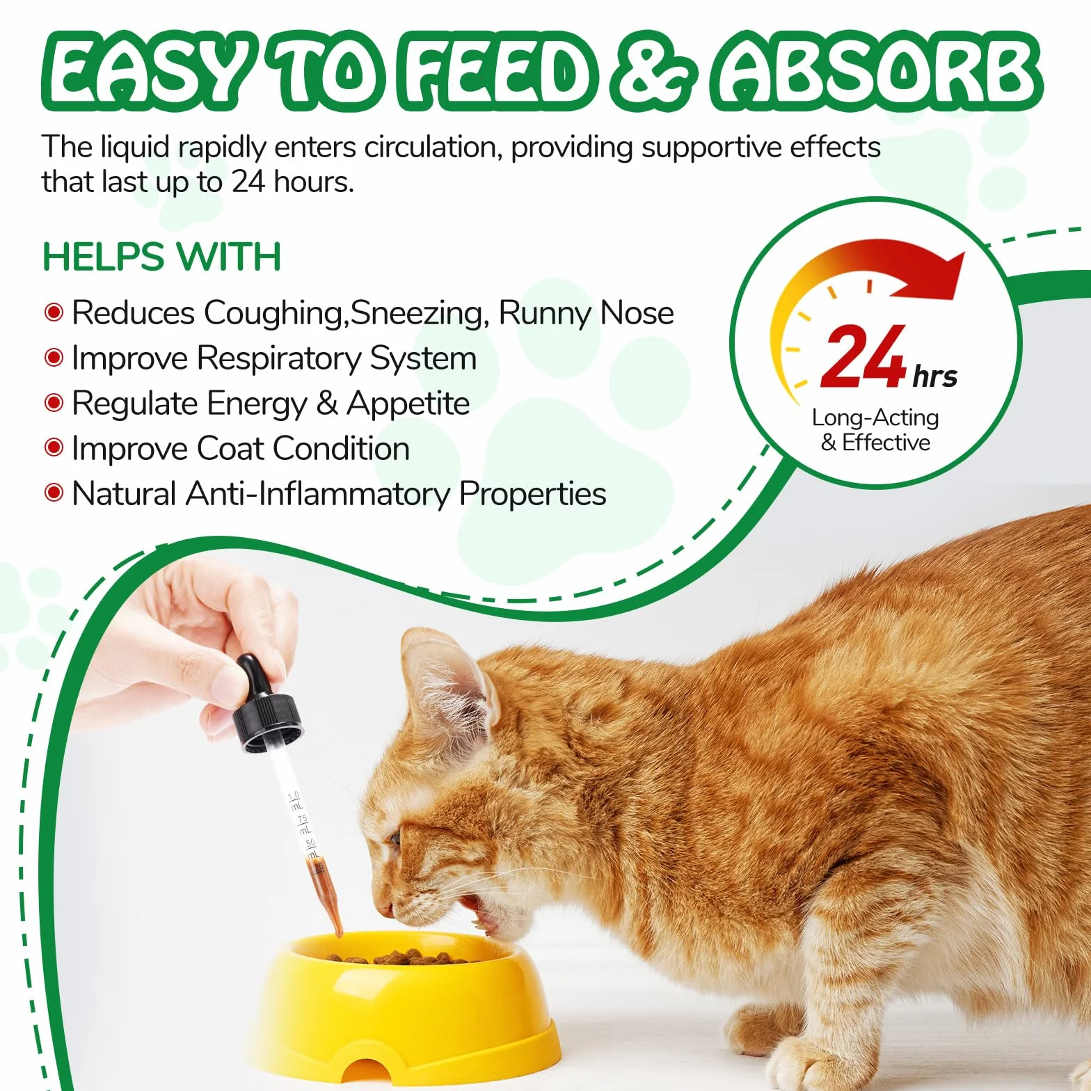Antibiotiques naturels pour Chats, Soutien Immune & Allergy Itch Relief, 60 ML