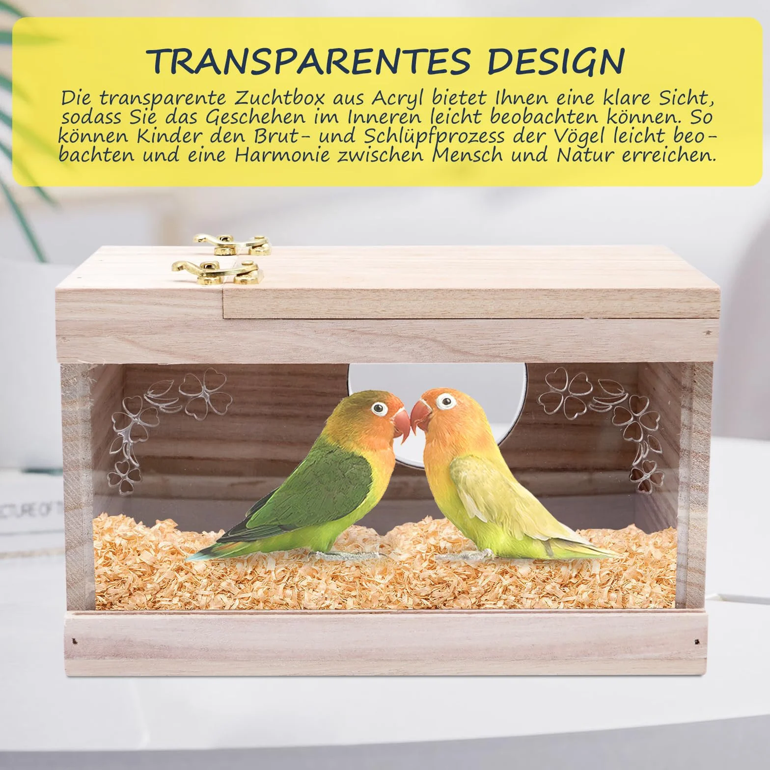 Nichoir transparent perruche perchoir bois fenêtre visualisation