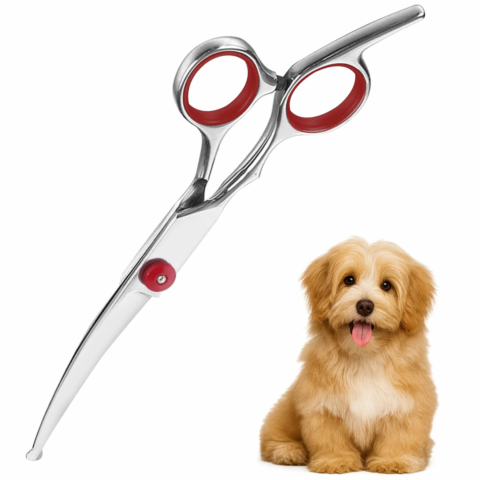 Ciseaux Toilettage Chien Professionnel,Toilettage Courbé pour Chiens et Chats pour Animaux de Compagnie avec Bout Rond de Sécurité pour Pattes, Visage, Corps, Autres