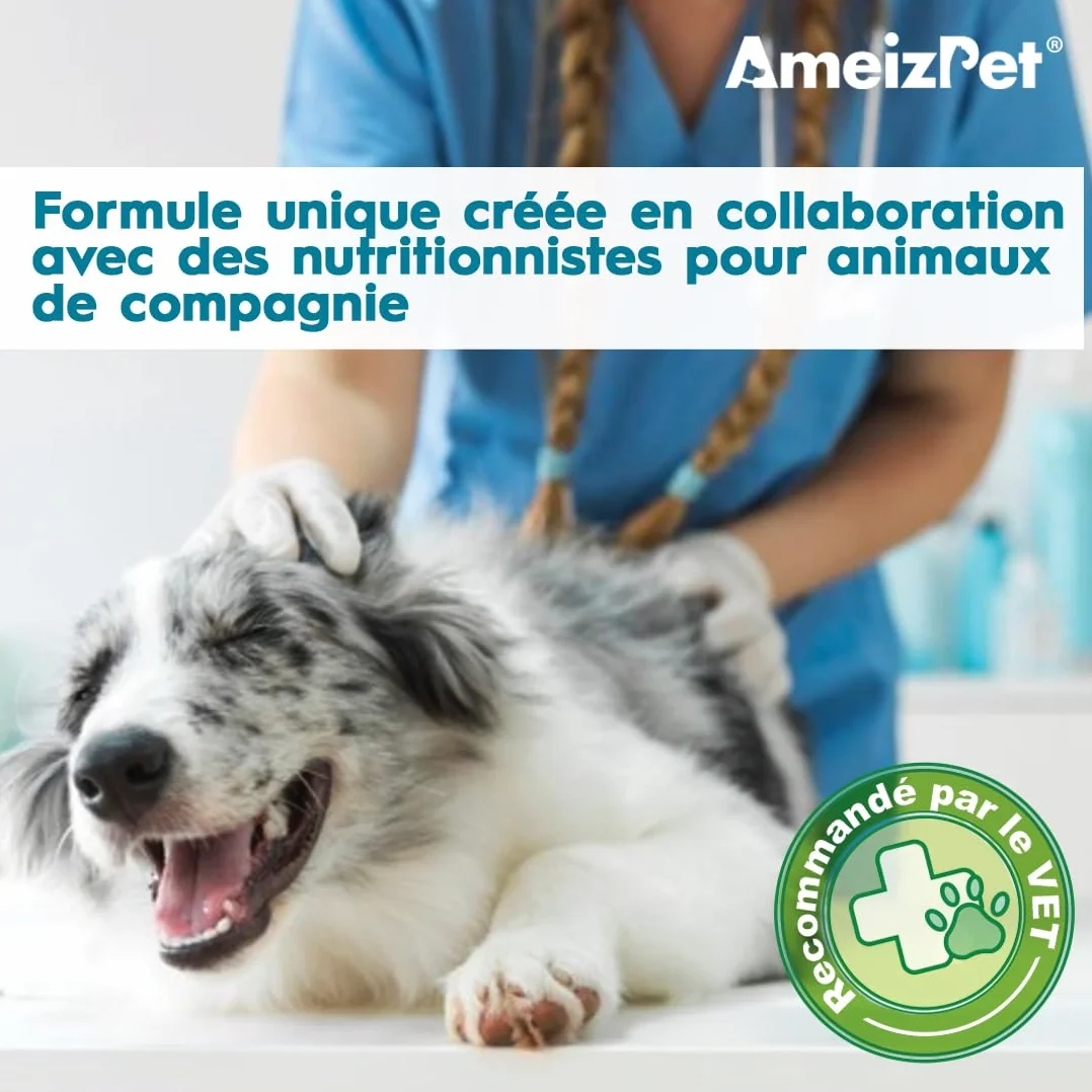 AmeizPet Dog Pré et Probiotiques pour Santé Intestinale, Biscuits Probiotiques Naturels Chien - Friandises Digestives, 30 Friandises