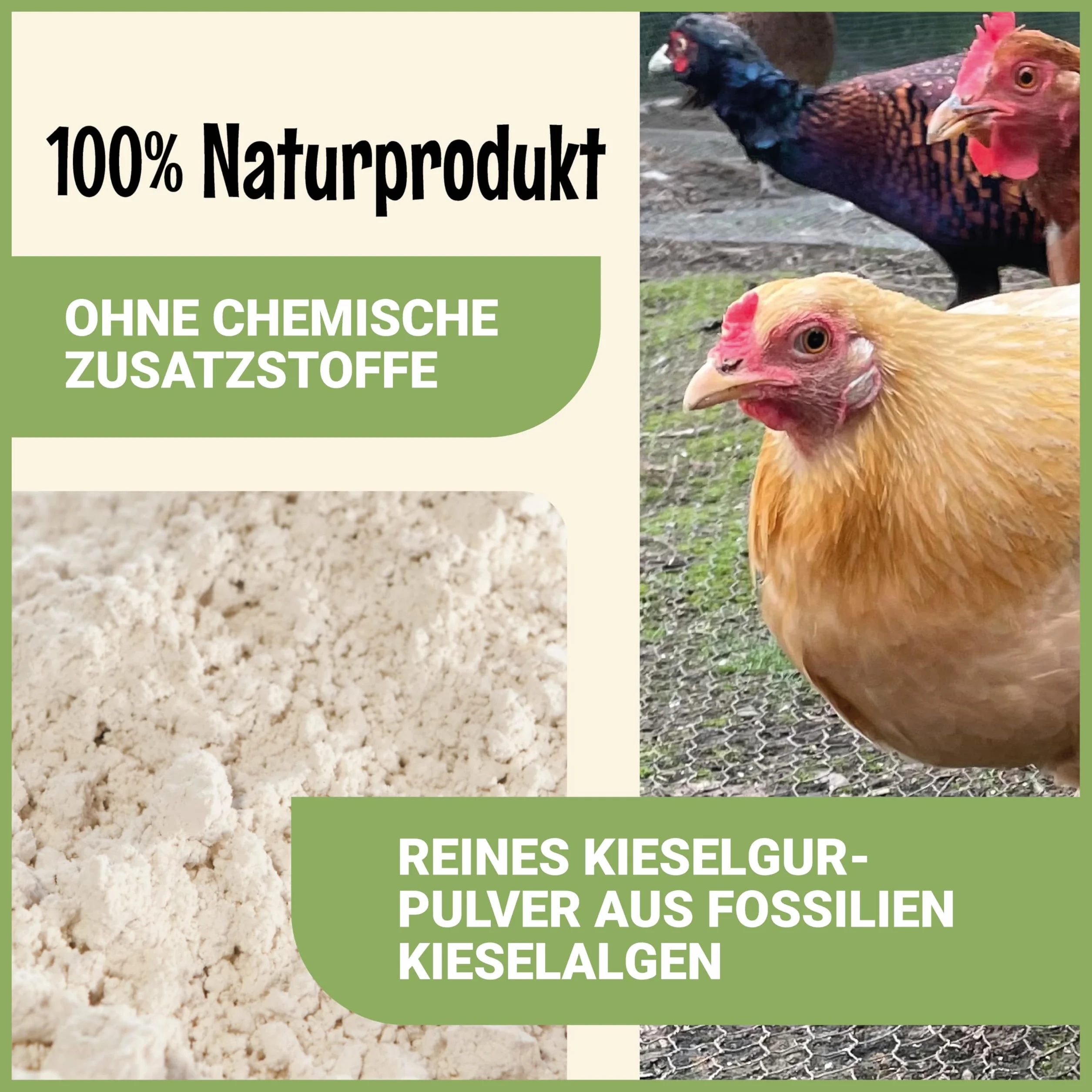 Poudre de terre de diatomée 2,2 kg pour poules et volailles – produit naturel d’entretien