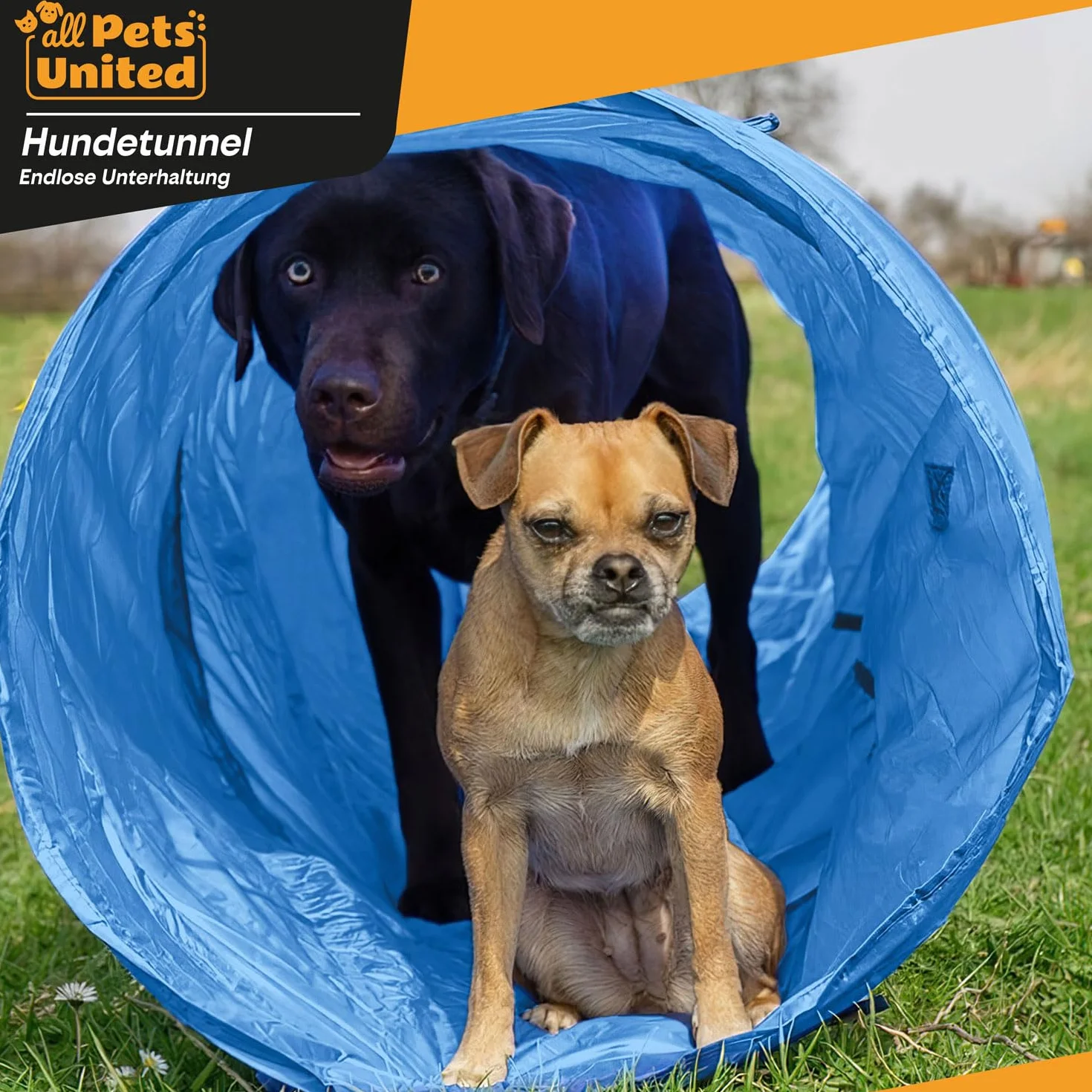 Tunnel d'agilité pour Chien 500 cm avec Sac de Transport
