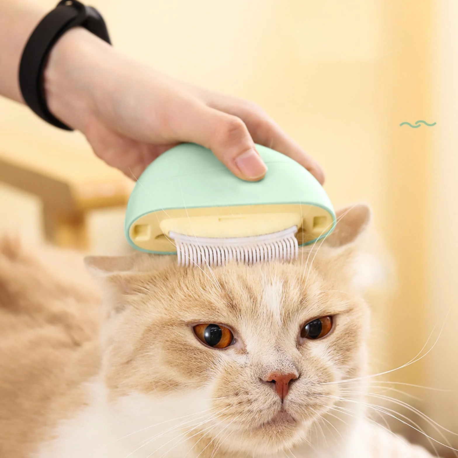 Brosse de Massage 4 en 1 pour Animaux de Compagnie, Brosse Chat et Chien