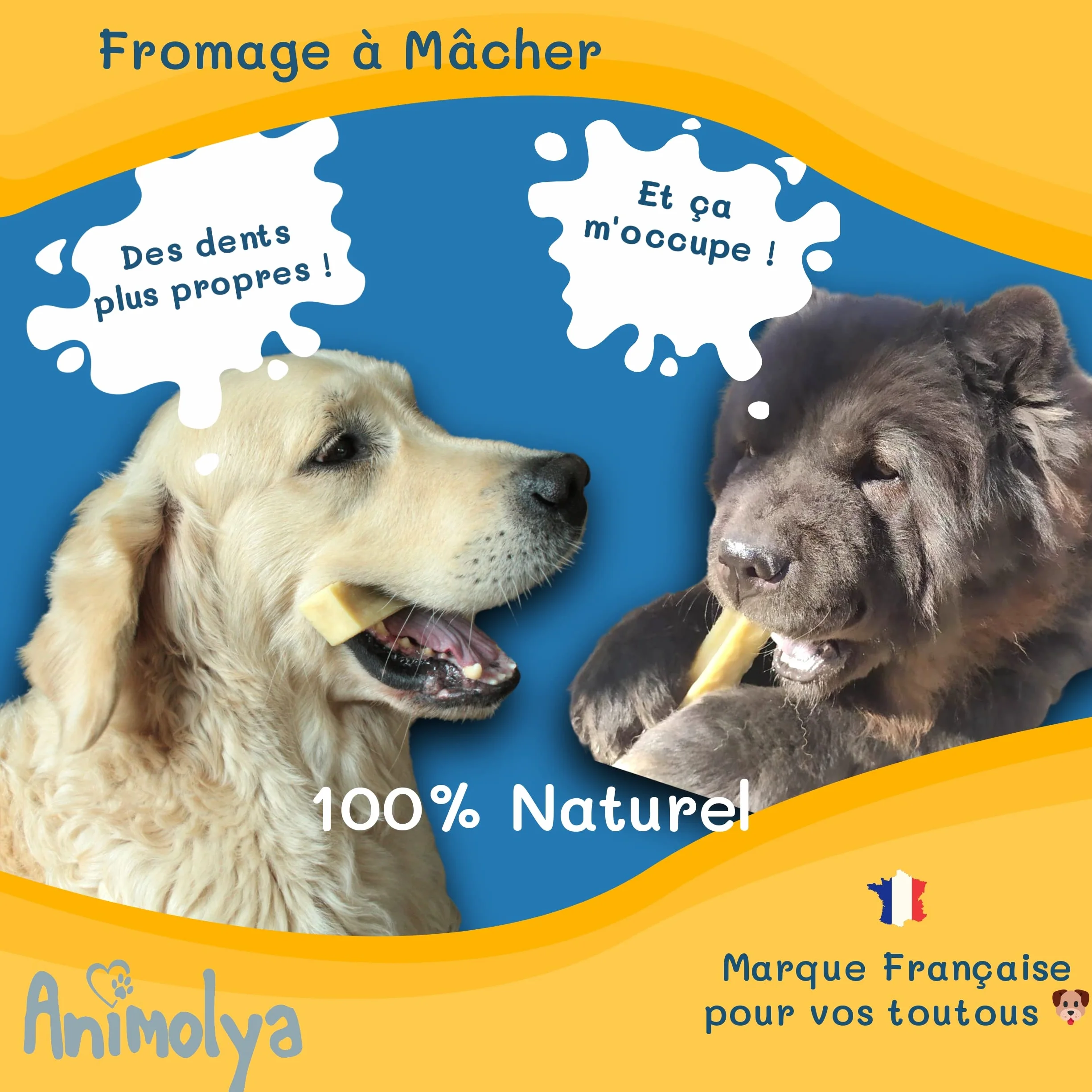 Friandises pour Chien Bâton de Fromage à Mâcher 100% Naturel Hygiène Dentaire Taille S Lot de 3