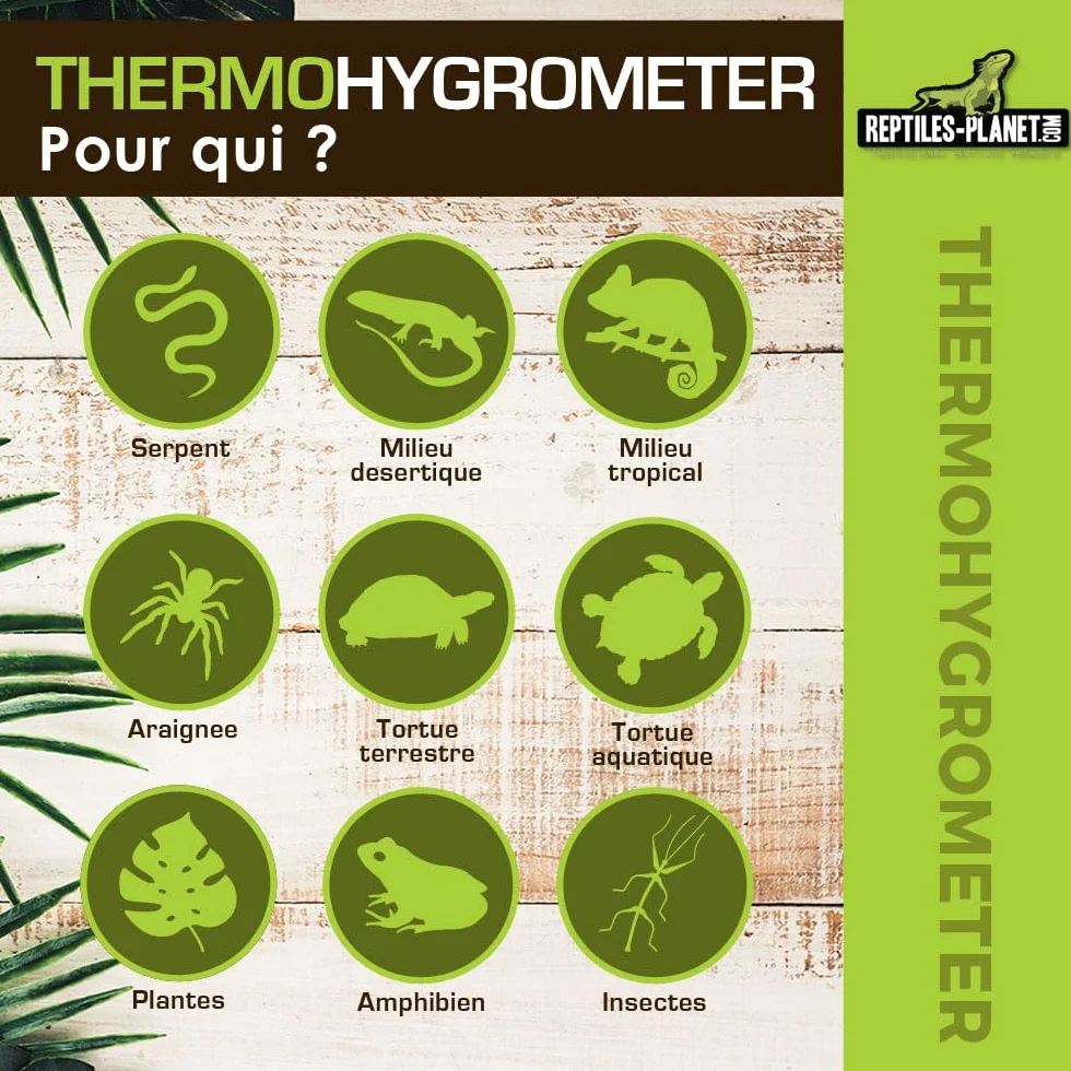 Reptiles Planet - Small Thermohygrometer - Thermomètre et Hygromètre Digital pour Terrarium