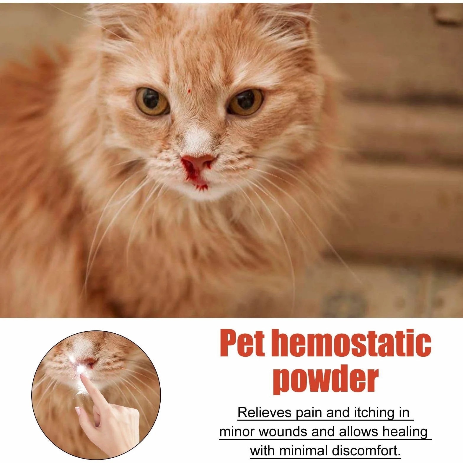 Poudre Hémostatique pour Chiens, Chats, Lapins, Cochons d'Inde, Oiseaux - Arrête Saignement des Pattes