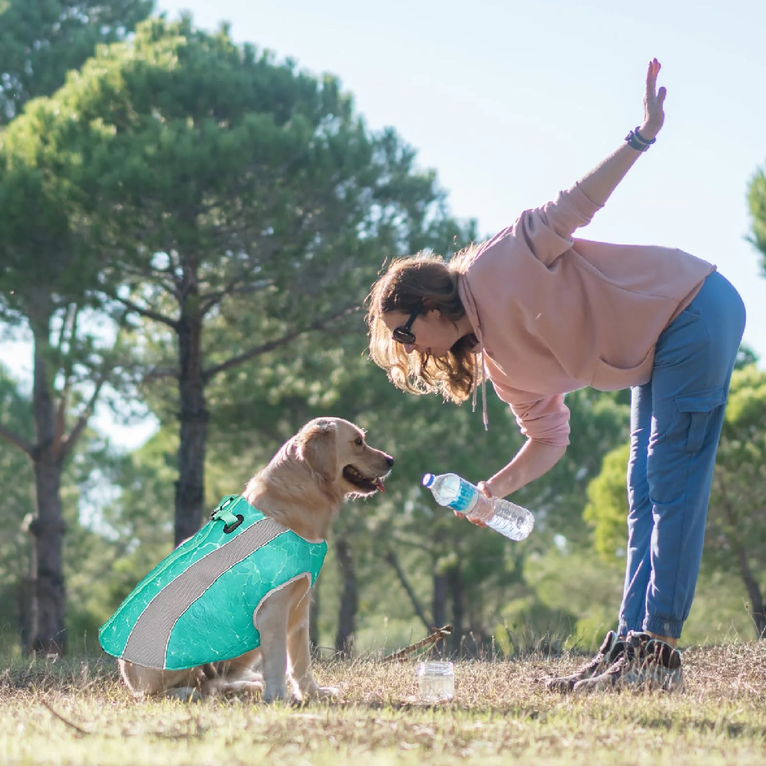 2 en 1 Manteau d'hiver pour Chien et Gilet rafraîchissant pour Chien, Veste de Harnais améliorée, Manteau rafraîchissant évaporatif Respirant pour Chiens pour Petits, Moyens et Grands Chiens