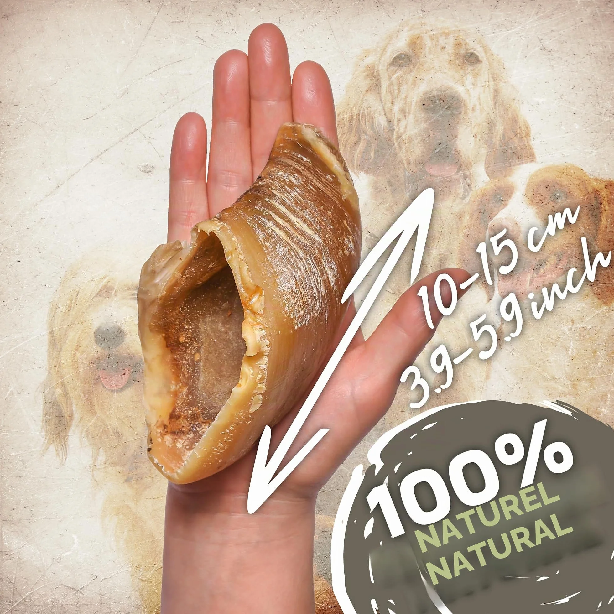 Sabots de bœuf pour Chiens 10 pièces 1kg Friandises Naturelles à mâcher sans additifs ni colorants Soin Dentaire Longue durée