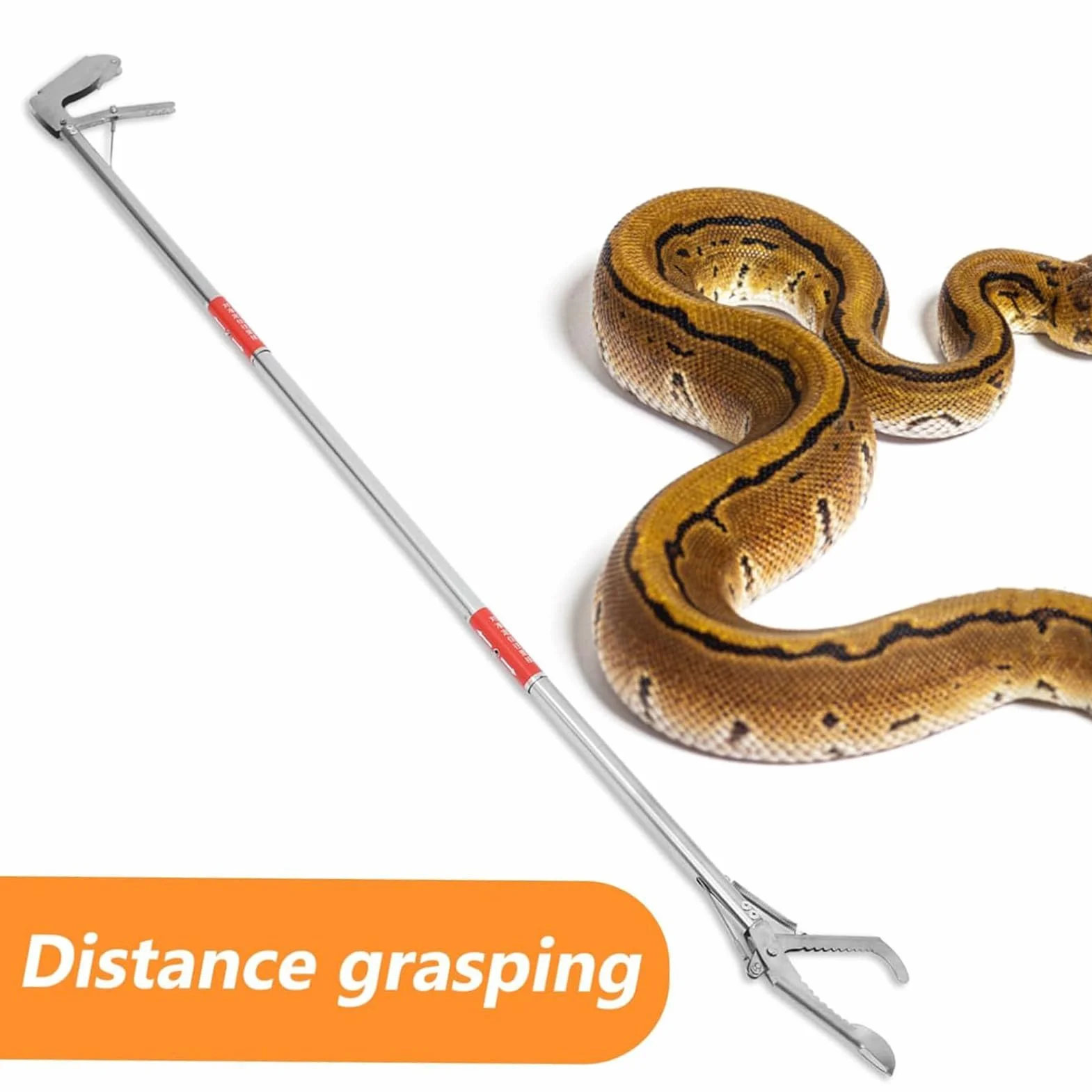 Pinces à serpent pliables en acier inoxydable pour attraper des crabes – Outil de récupération des déchets