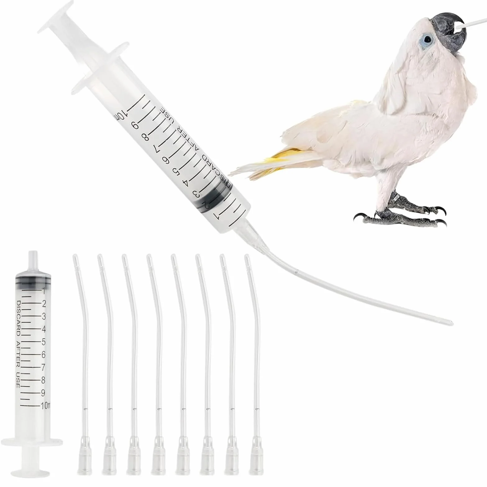 Sondes d'alimentation pour Oisillons 12 Pièces avec Seringues 10 ML pour Perroquets et Petits Animaux