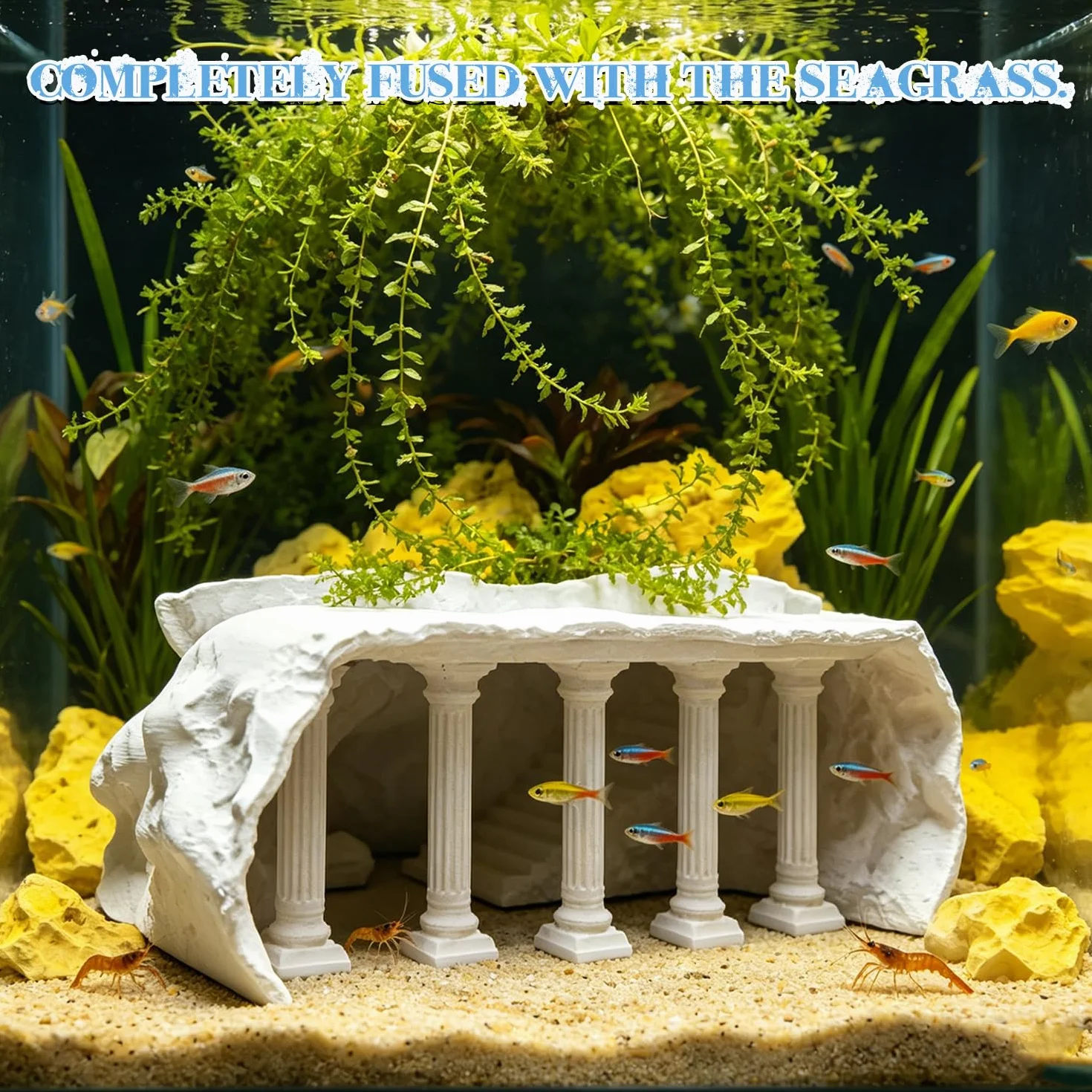 Cachette Aquarium Effet Bois Tunnel Souterrain 3D pour Wels & Crevettes, Grotte Multi-Chambres Décoration Naturelle Eau Douce (S)