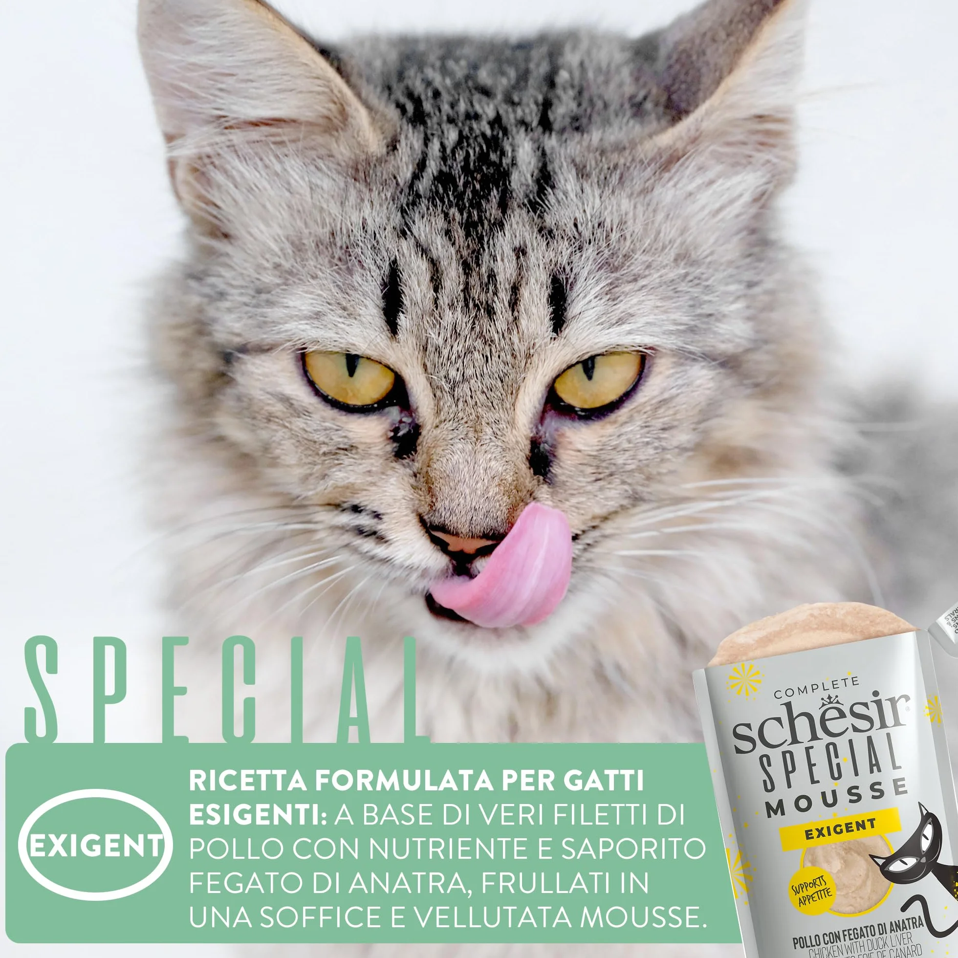 Schesir Special Exigent Alimentation complète pour Chats exigeants Poitrine 12 x 70 g