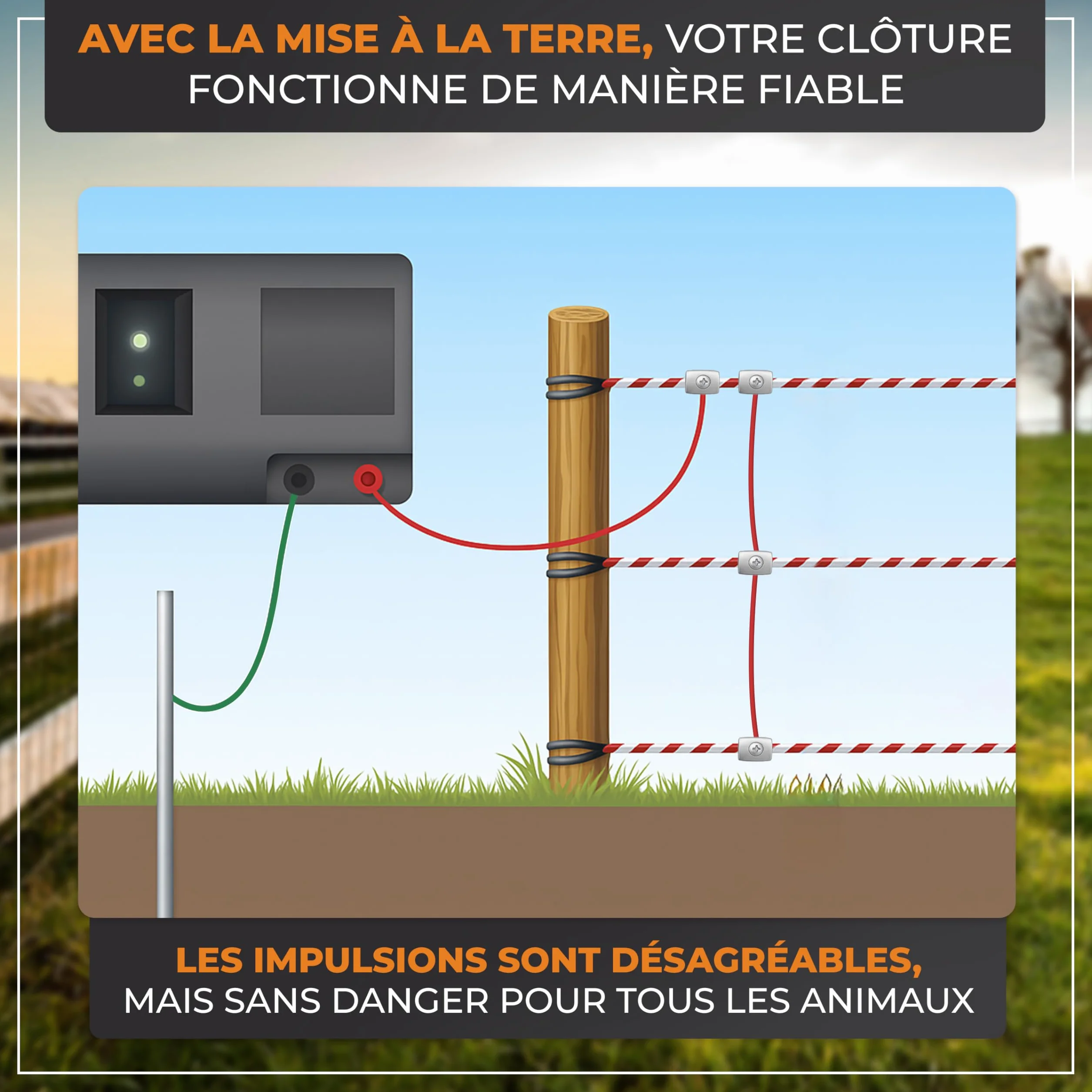 Kit de démarrage clôture électrique M – Électrificateur puissant avec ruban 200 m, 10 piquets, isolateurs & mise à la terre