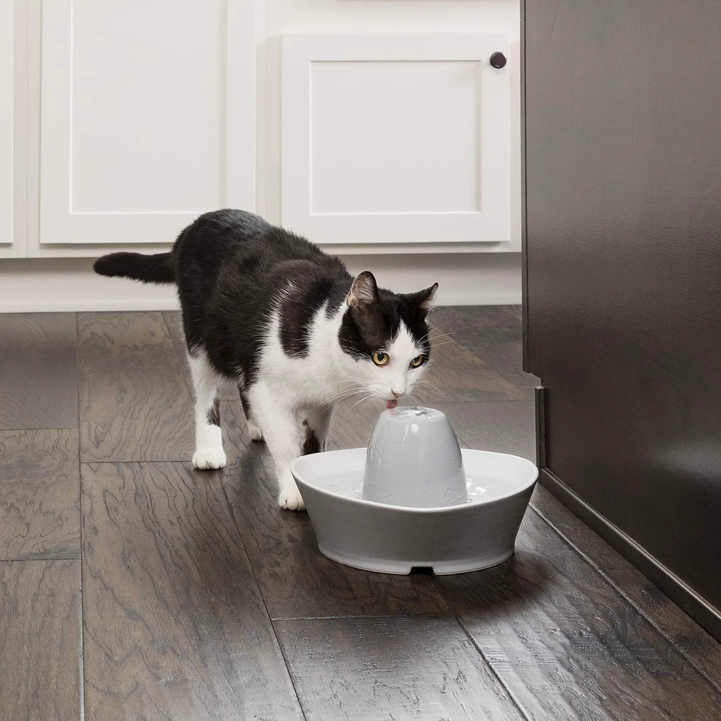 PetSafe Fontaine en Céramique Bord du Ruisseau pour Animaux de Compagnie 1,8 L - idéal pour Chat et Petit Chien, silencieuse, Eau filtée, sans BPA, Encourage Les Animaux à Boire Plus