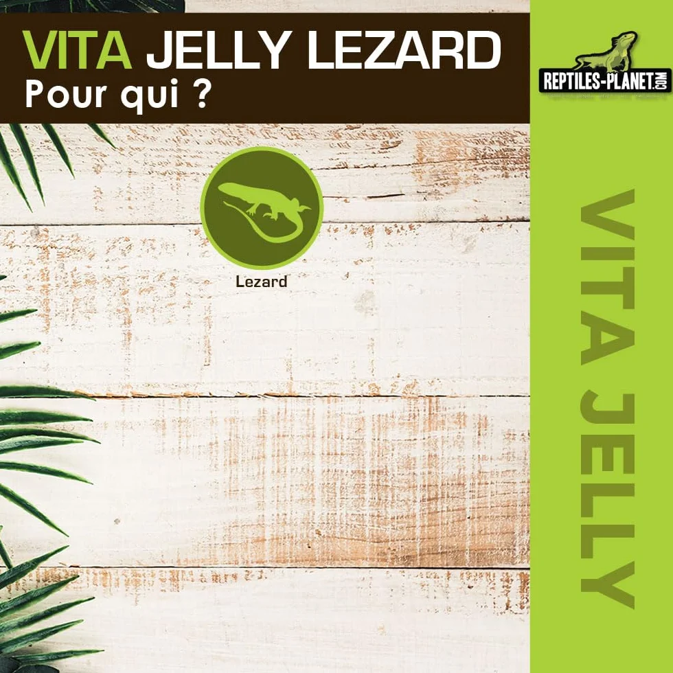 Reptiles Planet Vita Jelly Banane pour Lézard 10 pcs