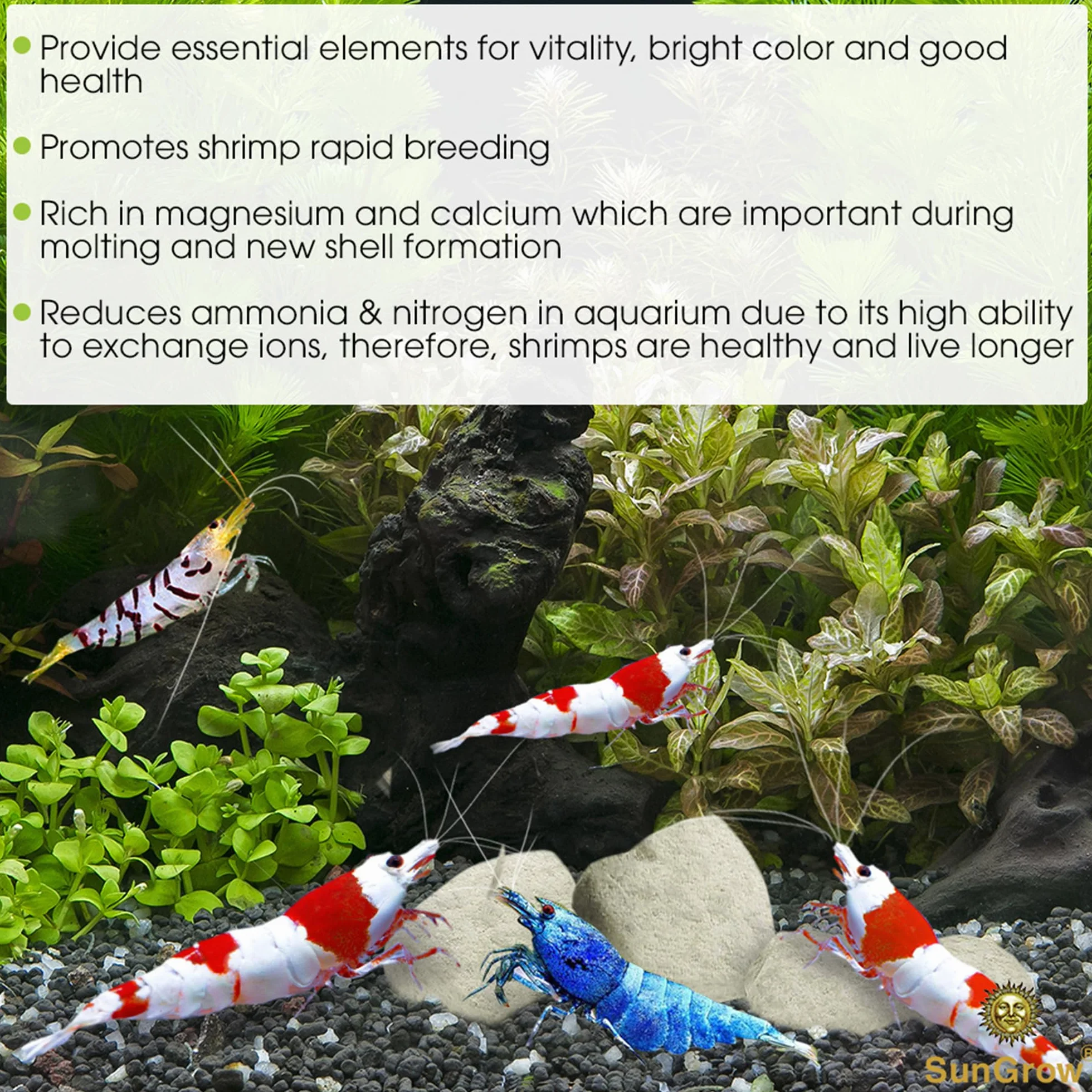 SunGrow Shrimp Rocks magnésium calcium couleur écrevisses escargots crevettes