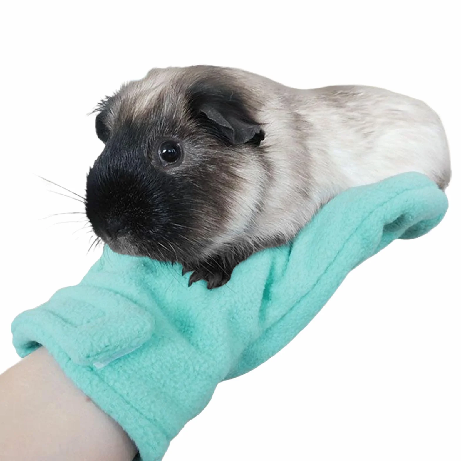 Gants anti-morsures protection rayures chats chiens coupe ongles soin animaux