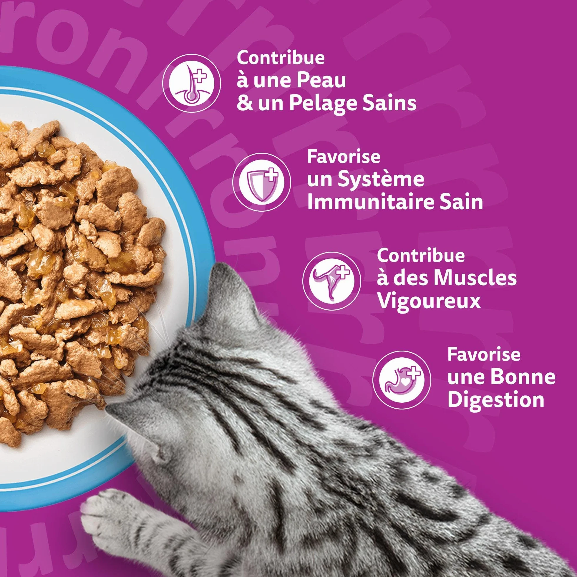 WHISKAS Aliment humide en gelée Chat adulte 24x85g Poissons Favoris Lot de 2 48 Sachets
