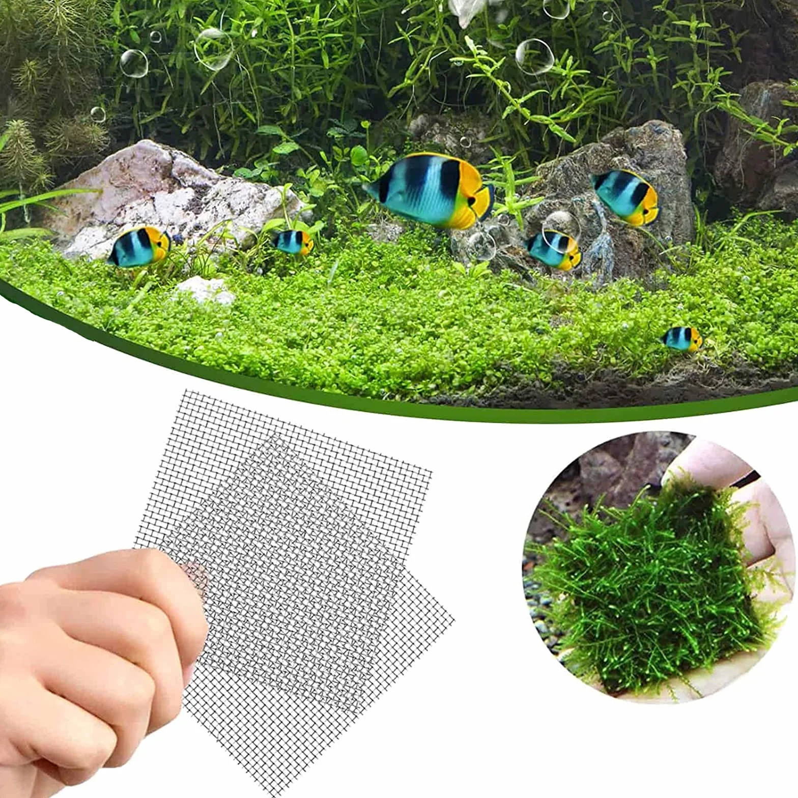 Mousse Plante Aquatique Décoration 14 Pièces 8x8 cm Grillage Fin Acier Inoxydable Maille Fine Aquarium