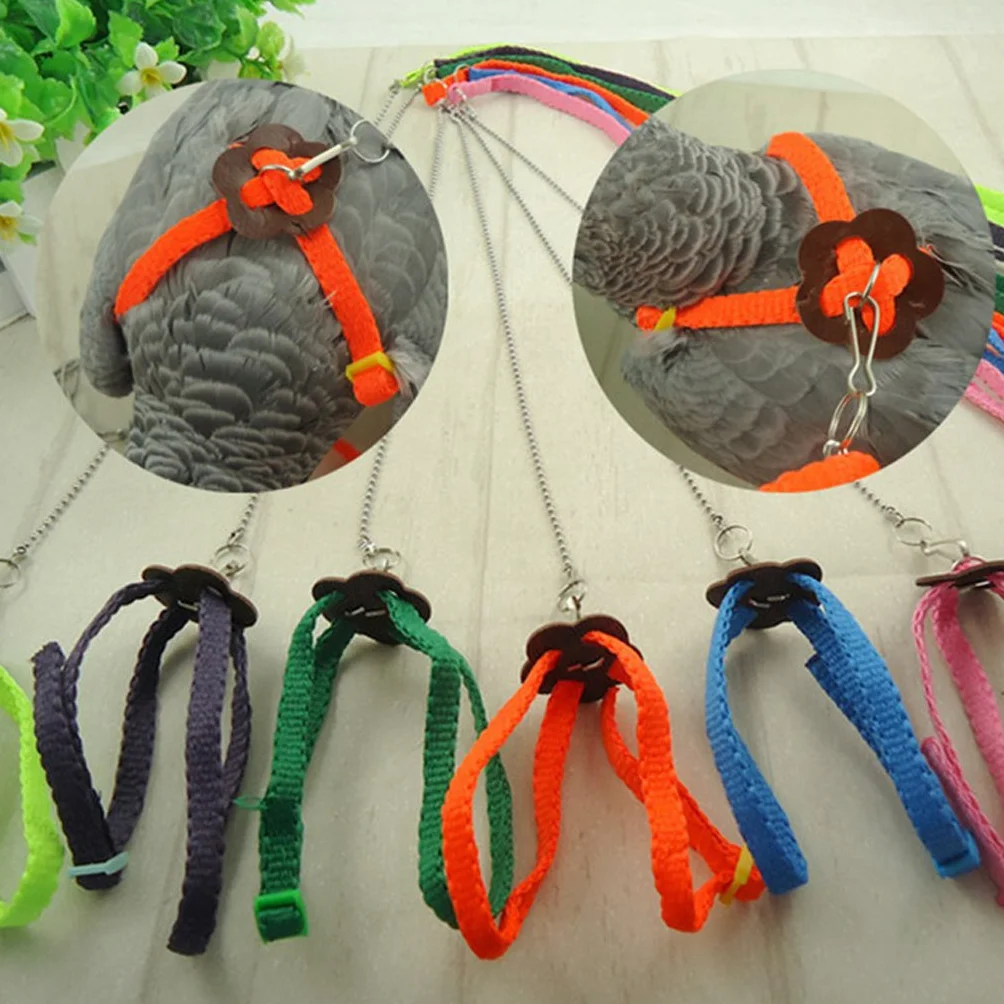 Harnais pour perroquet en nylon réglable anti-morsure pour petits oiseaux canaris conures
