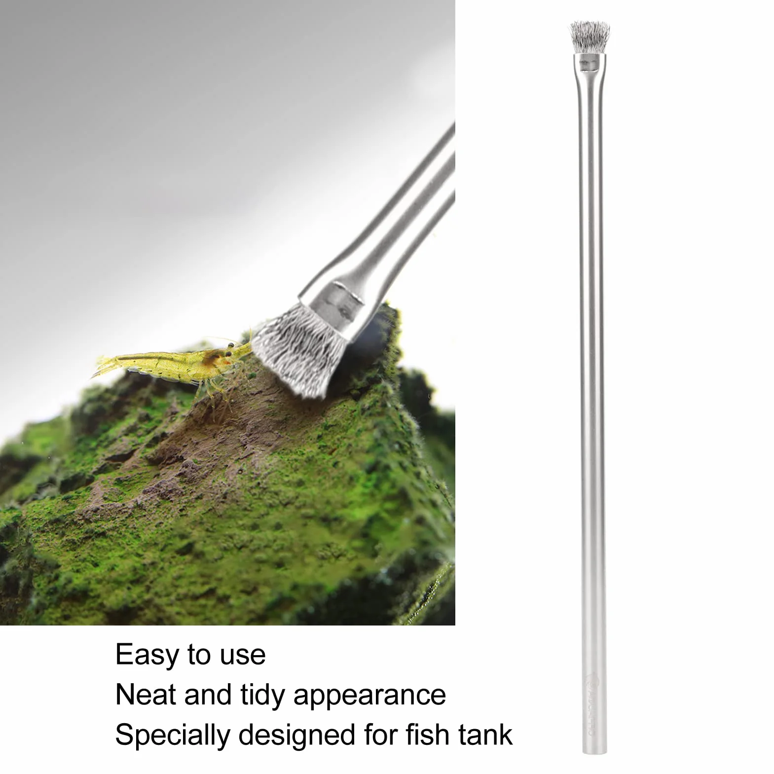 Brosse à algues d'aquarium en acier inoxydable 304, professionnelle et durable
