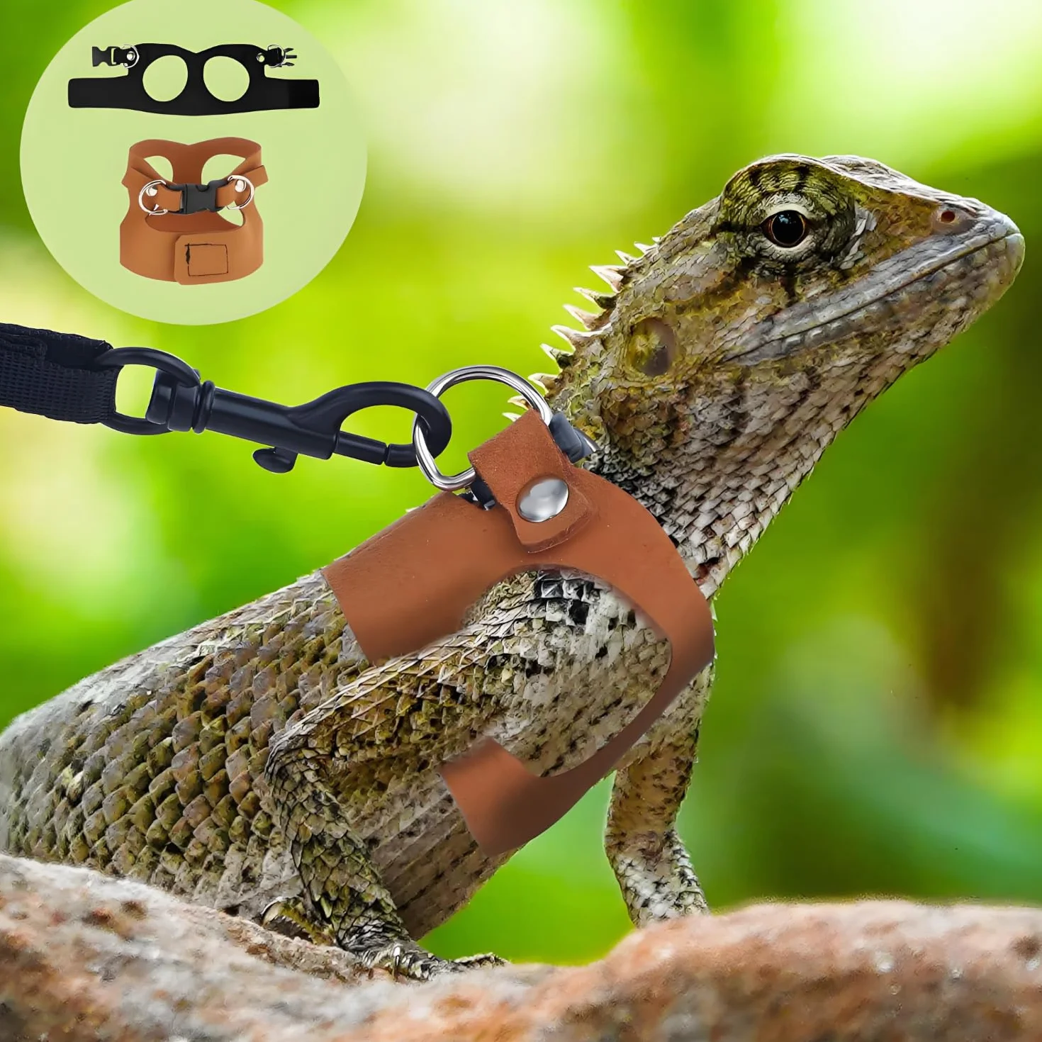 3 Pièces Cochon d'Inde Harnais, Ajustable Dragon Barbu Harnais Laisse, Laisse Réglable Lézard, Ensemble Dragon Barbu, pour Reptiles, Lézards Et Caméléons (Noir)