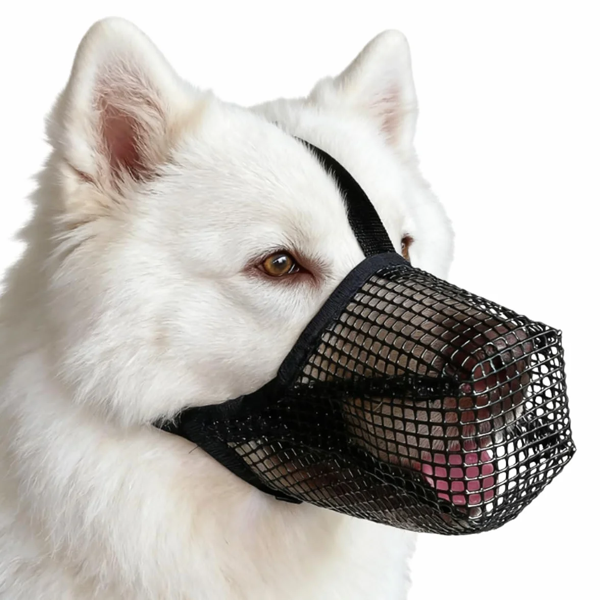 Muselière Chien, Musoliaire Chien, Muselières pour Chiens Anti-Grignotage, Muselières pour Chiens, Respirante et Réglables, pour Chienss Moyens et Grands (M, Noir)