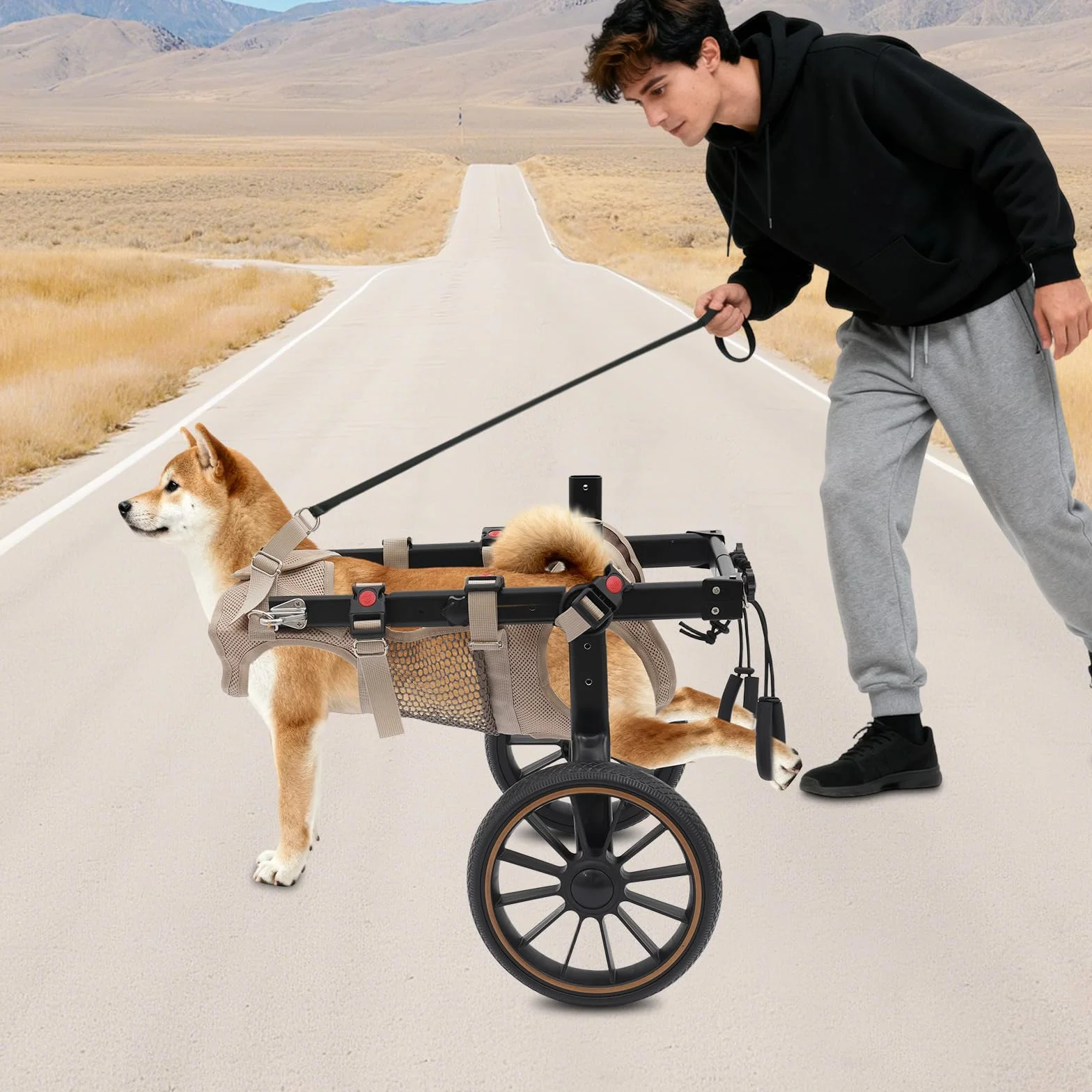 Fauteuil roulant léger pour chien jusqu'à 65 kg, réglable, roues amortissantes, aide rééducation