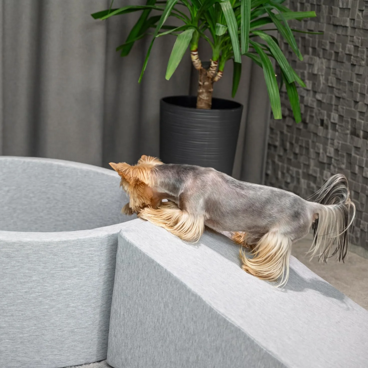Rampe pour Chien et Chat Animaux Canapé Lit Housse Amovible Bleu Foncé