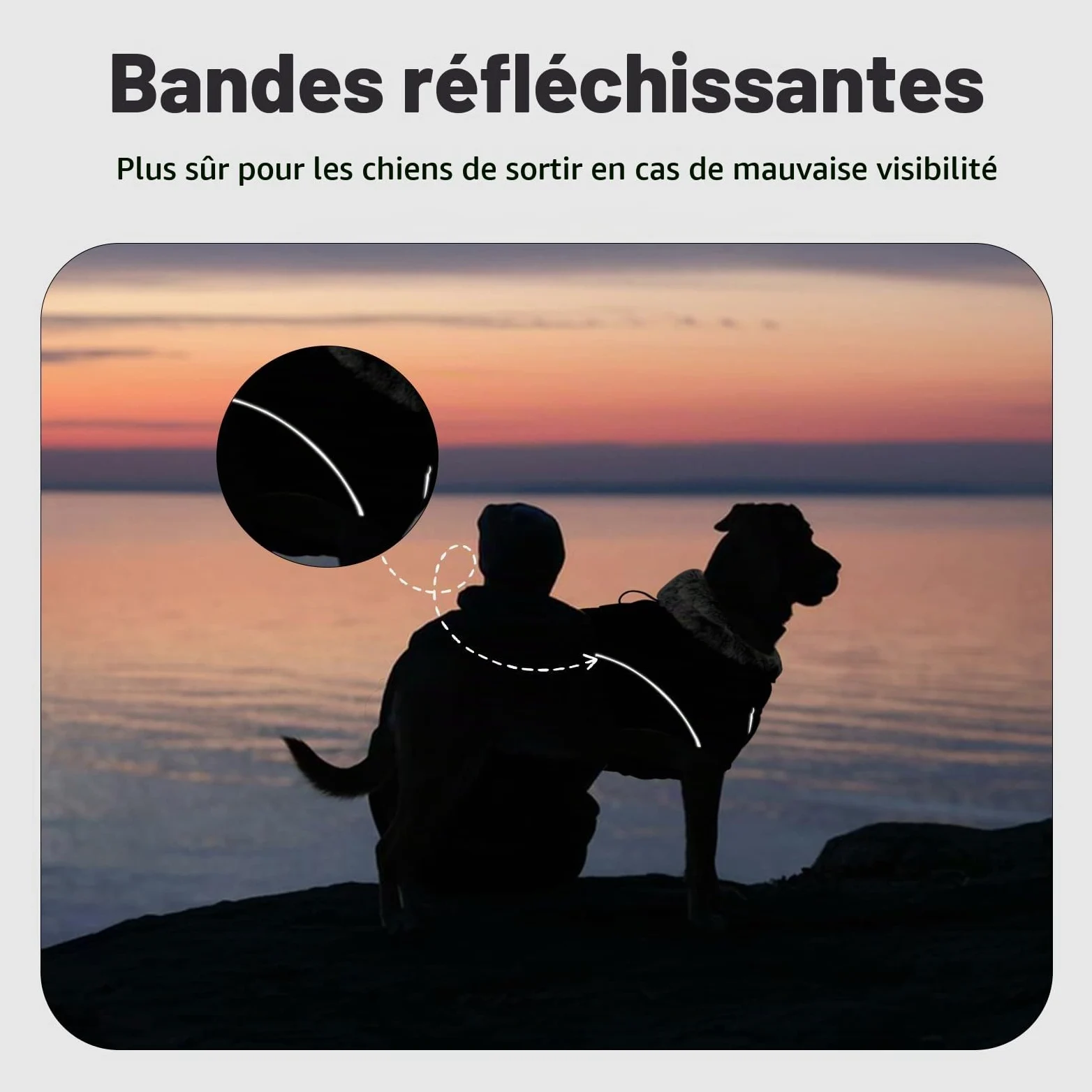Manteau imperméable pour chien Grande veste chaude Chihuahua gilet chauffant vêtement d'hiver coupe-vent pour chiens (Noir, XL)