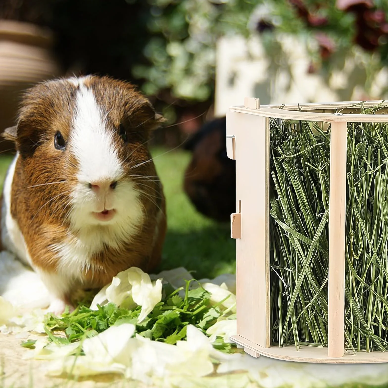 Râtelier à Foin en Bois Naturel pour Cochons d'Inde, Lapins, Hamsters