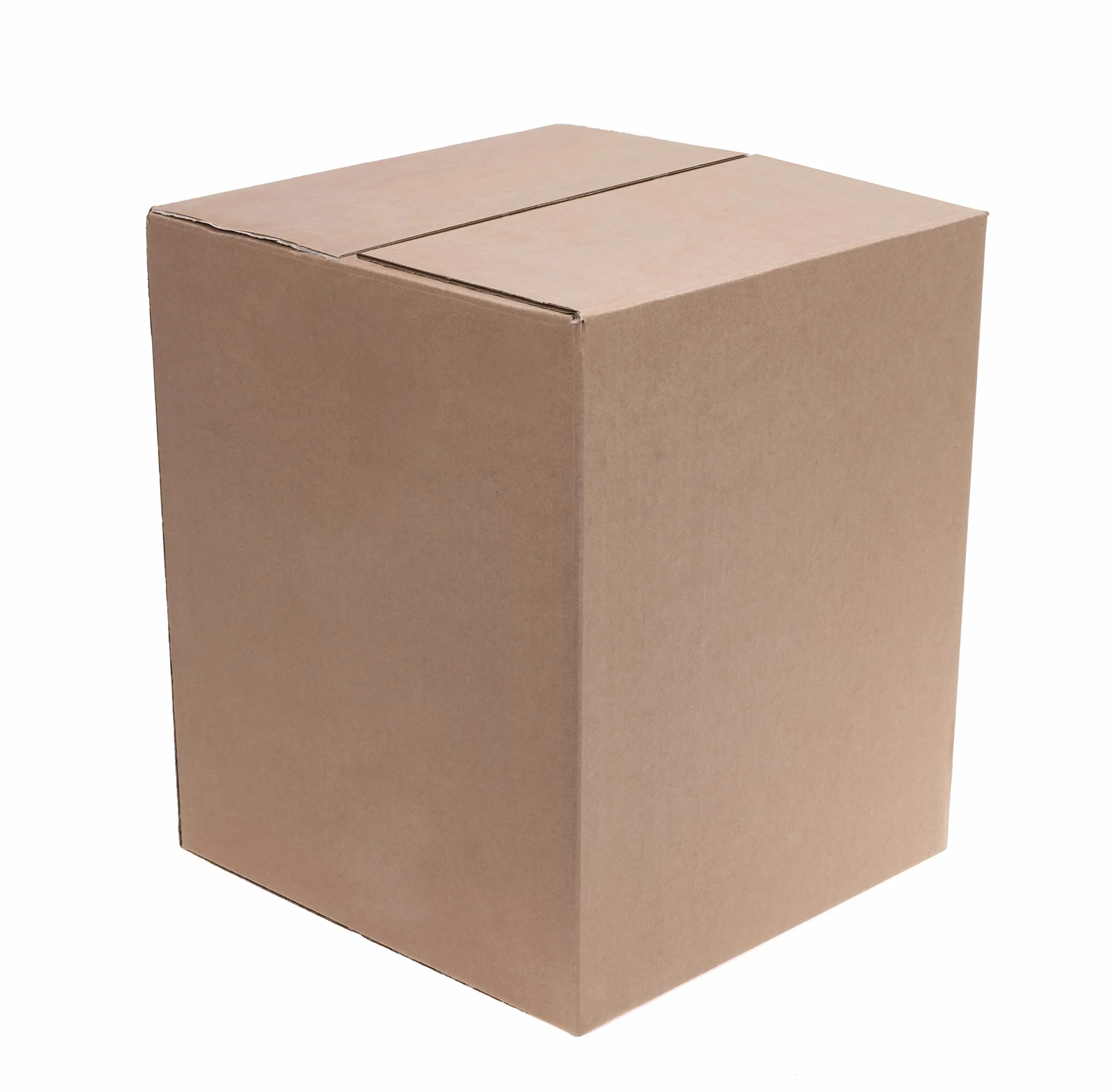Shrimp Smart D&N 20 ECOM Set de Shrimp Blanc