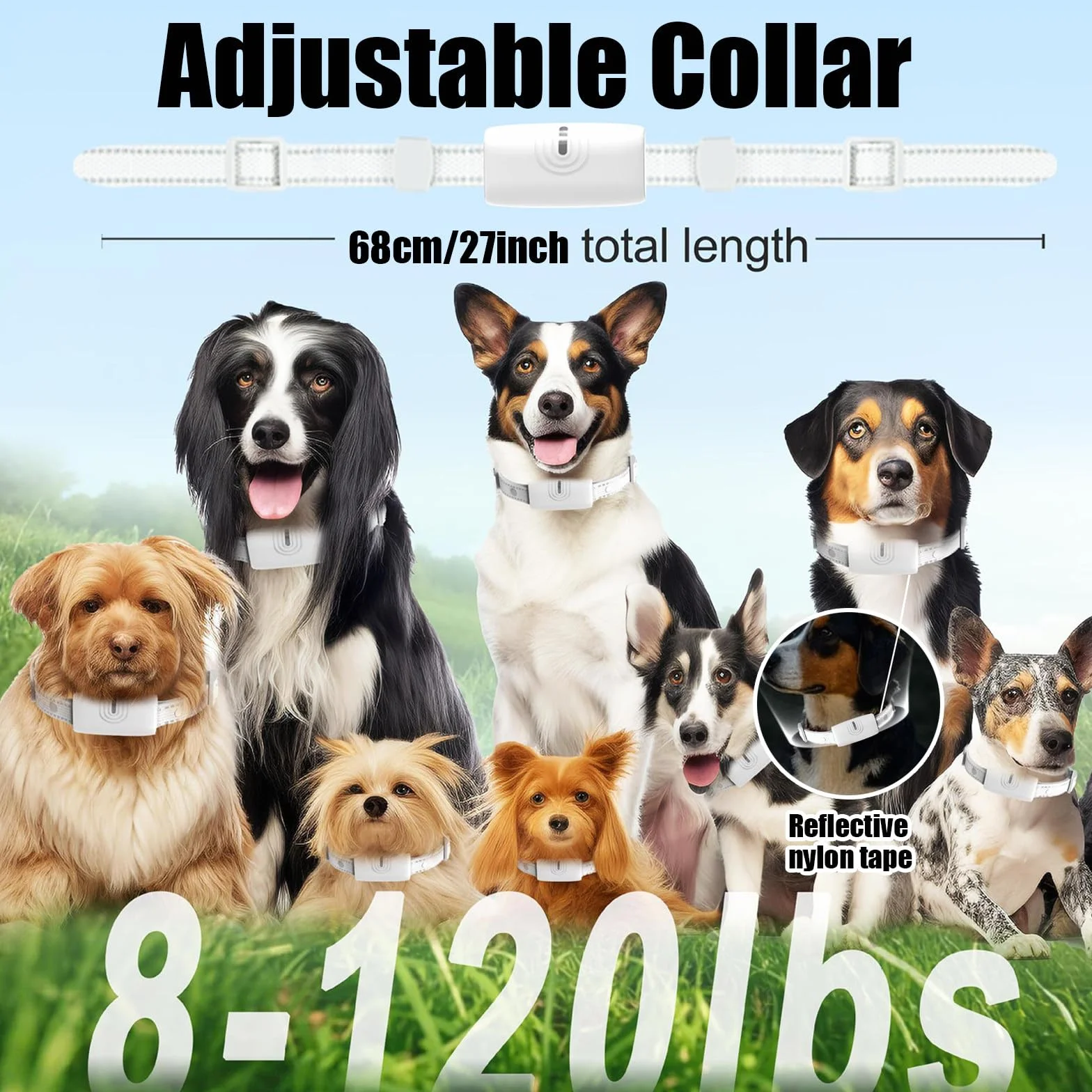 Cloture Electrique pour Chien, Collier Anti Fugue sans Fil GPS, Étanchéité IP67, Rayon 20-800m