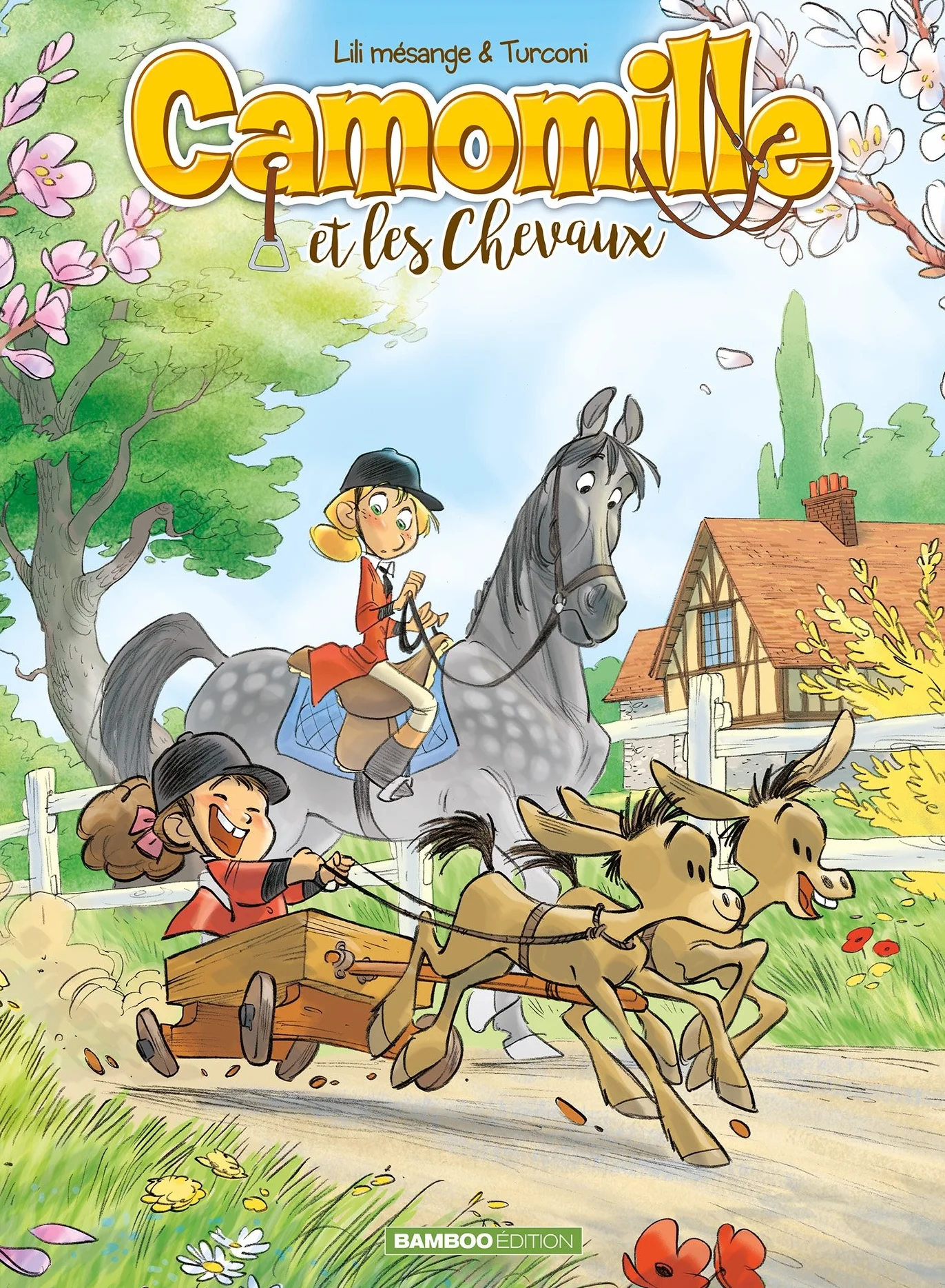 Camomille et les chevaux - tome 02: Sacré Pompon