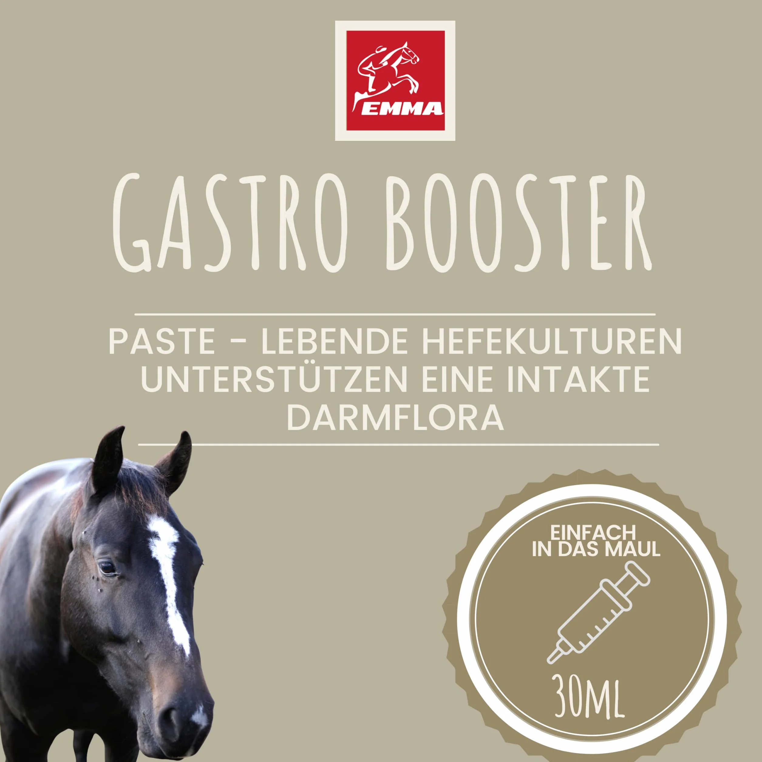 Pâte Gastro-intestinale Probiotiques Levure de bière Cheval Vitamine E Flore intestinale 30ml