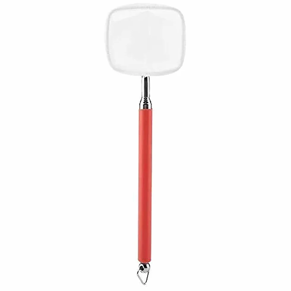 Petit filet télescopique pour poissons d'aquarium 18-53 cm Betta rouge