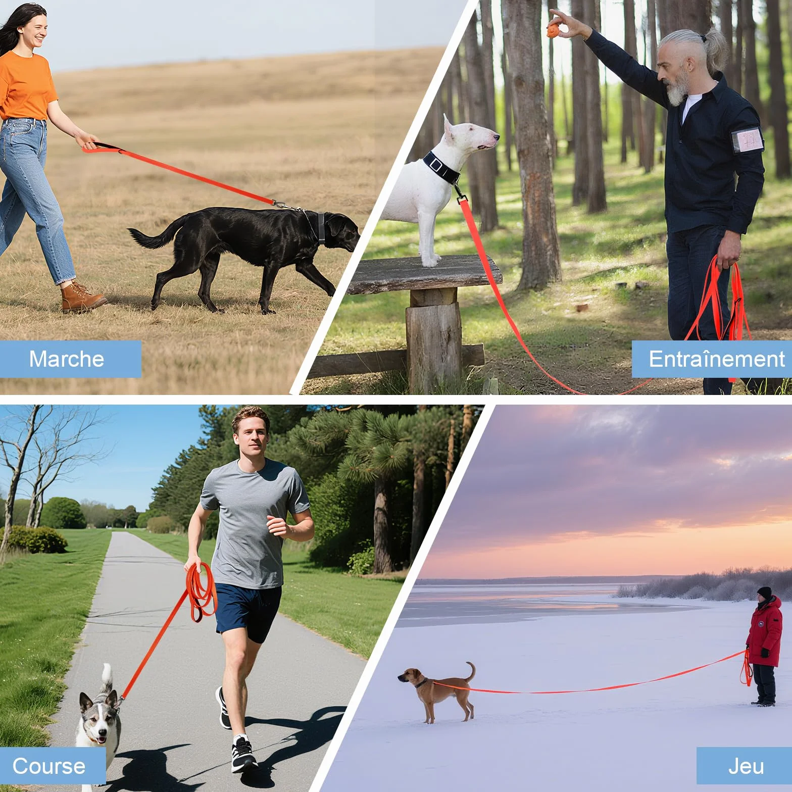 Longe pour Chien 1,8M-30M Laisse de Dressage étanche pour Chiens