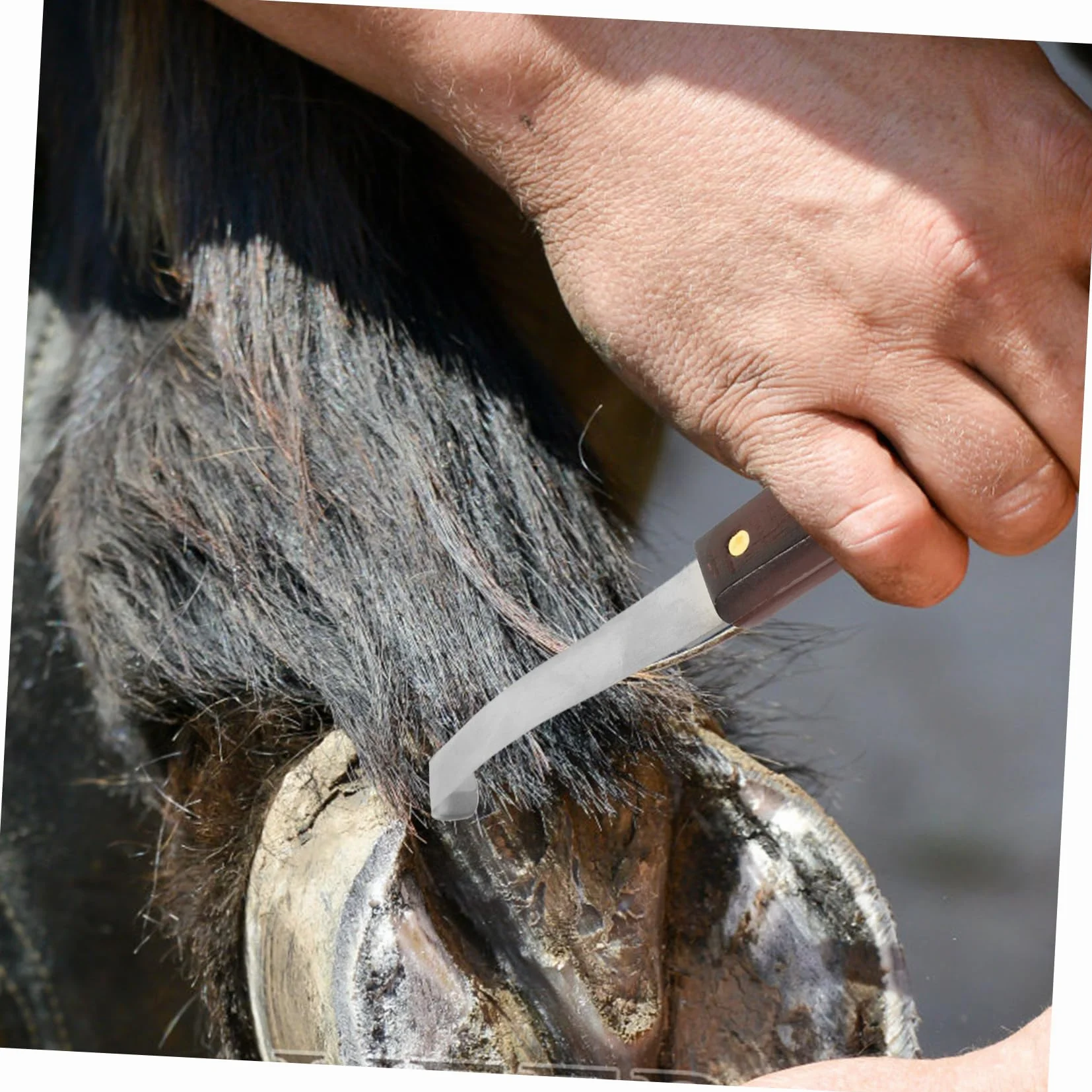 Kisangel Coupe-Sabots Résistant à l'usure, Outil Pratique Professionnel à Double Tranchant en Acier Inoxydable et Bois pour Droitier Soin des Sabots de Chevaux